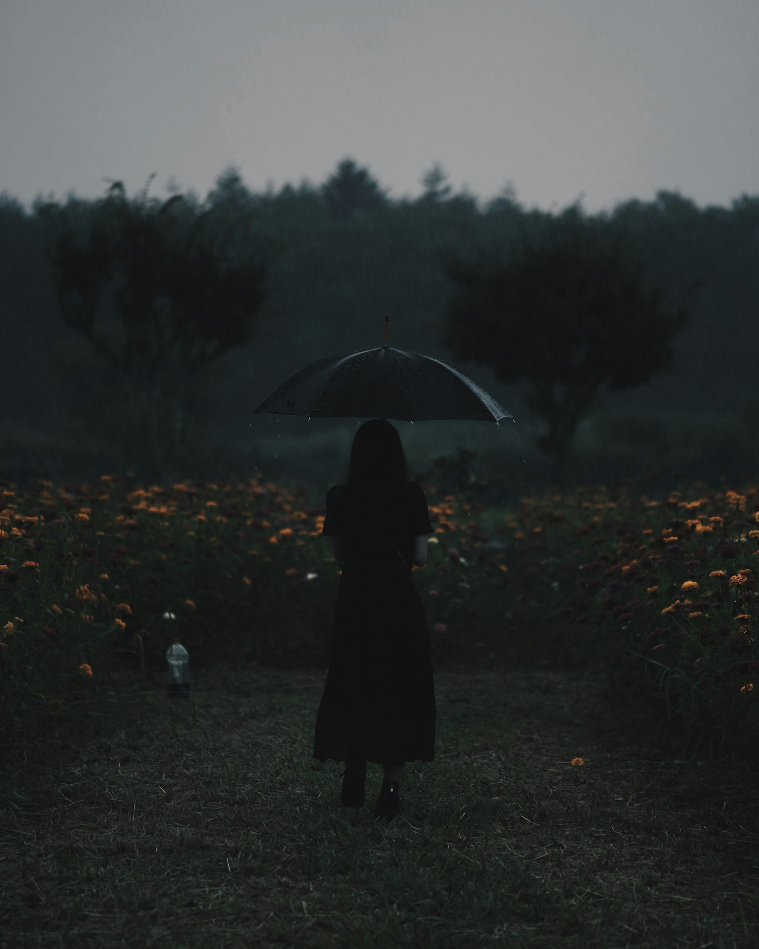 Mujer sosteniendo un paraguas de pie en un campo de flores bajo un cielo oscuro