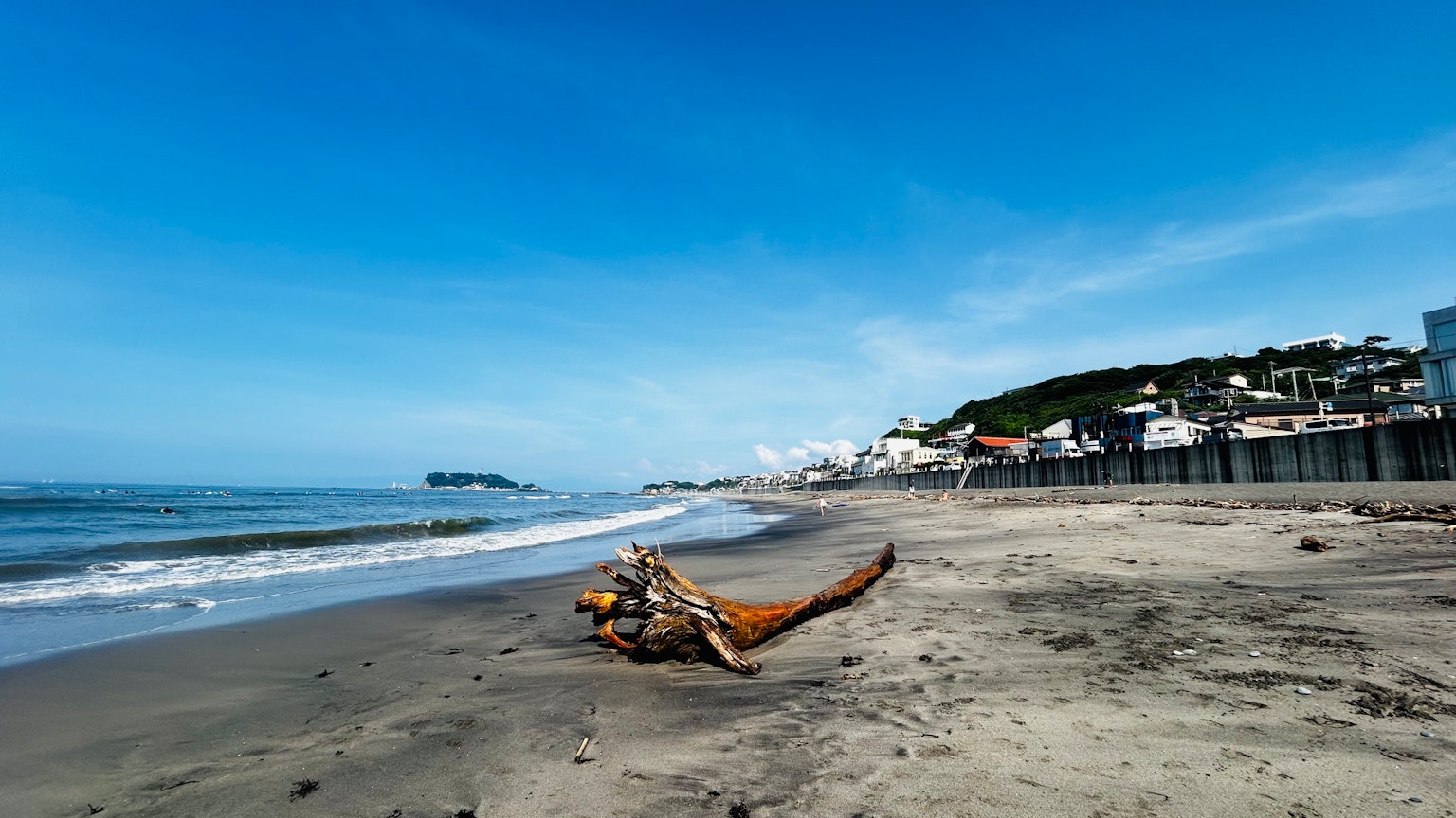 Scena di spiaggia con legno alla deriva e cielo blu chiaro