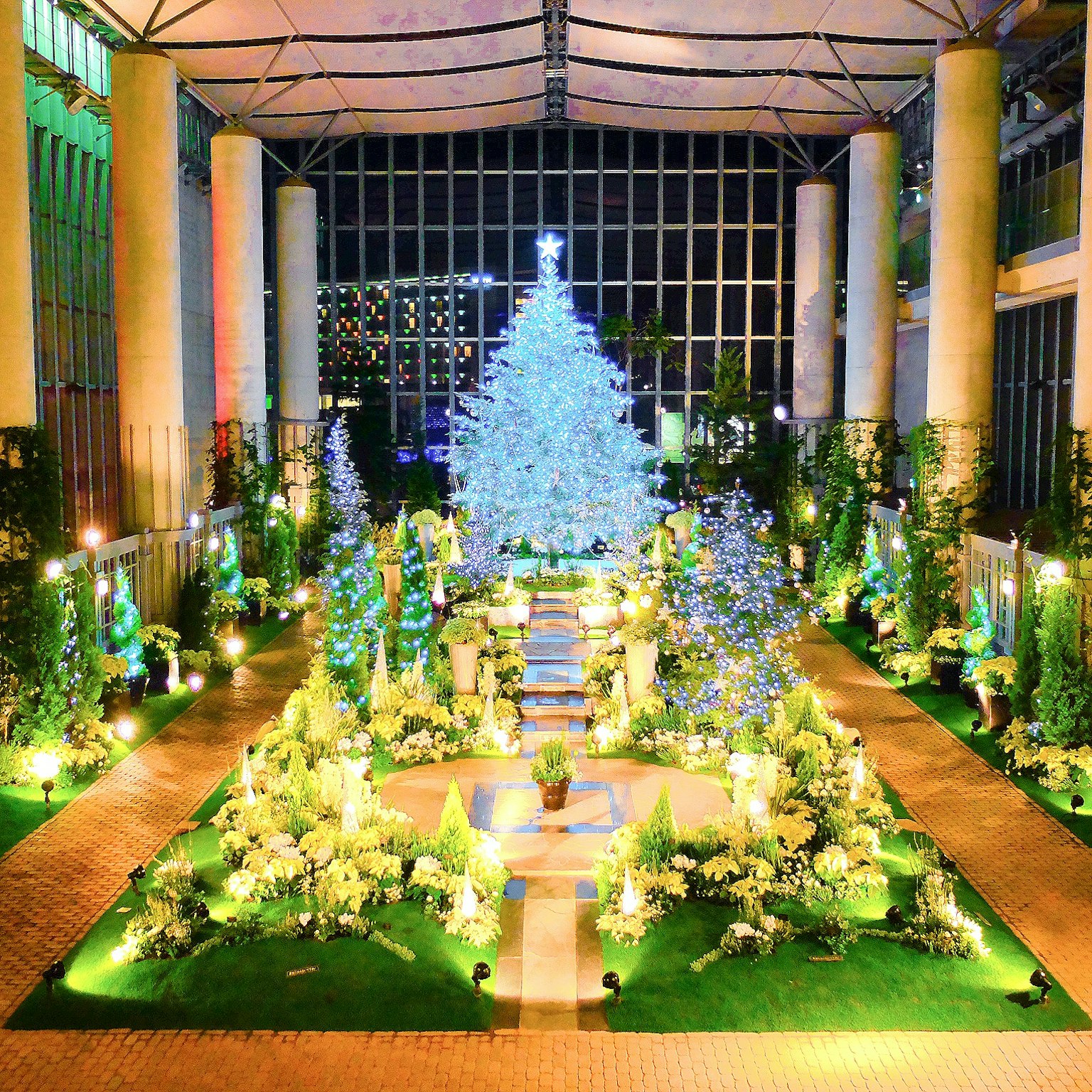 Pemandangan taman dengan pohon Natal yang indah dikelilingi tanaman hijau