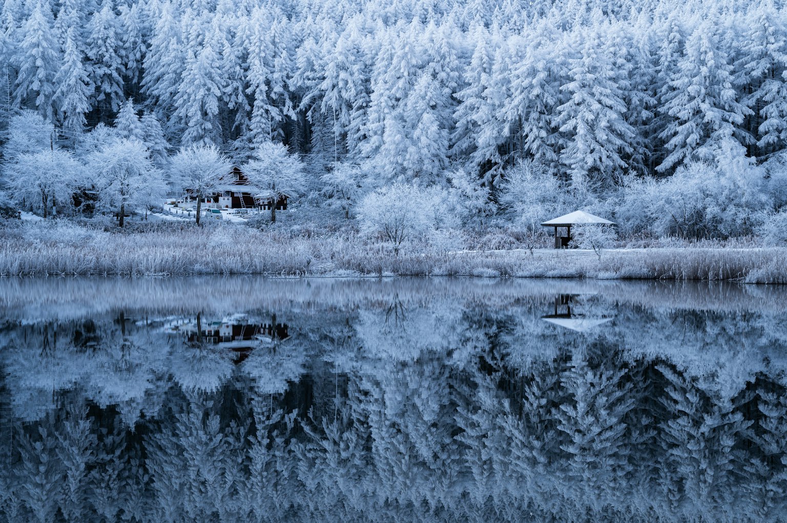 photo-yhpHrWVz1gCWvSPW8A4m-image