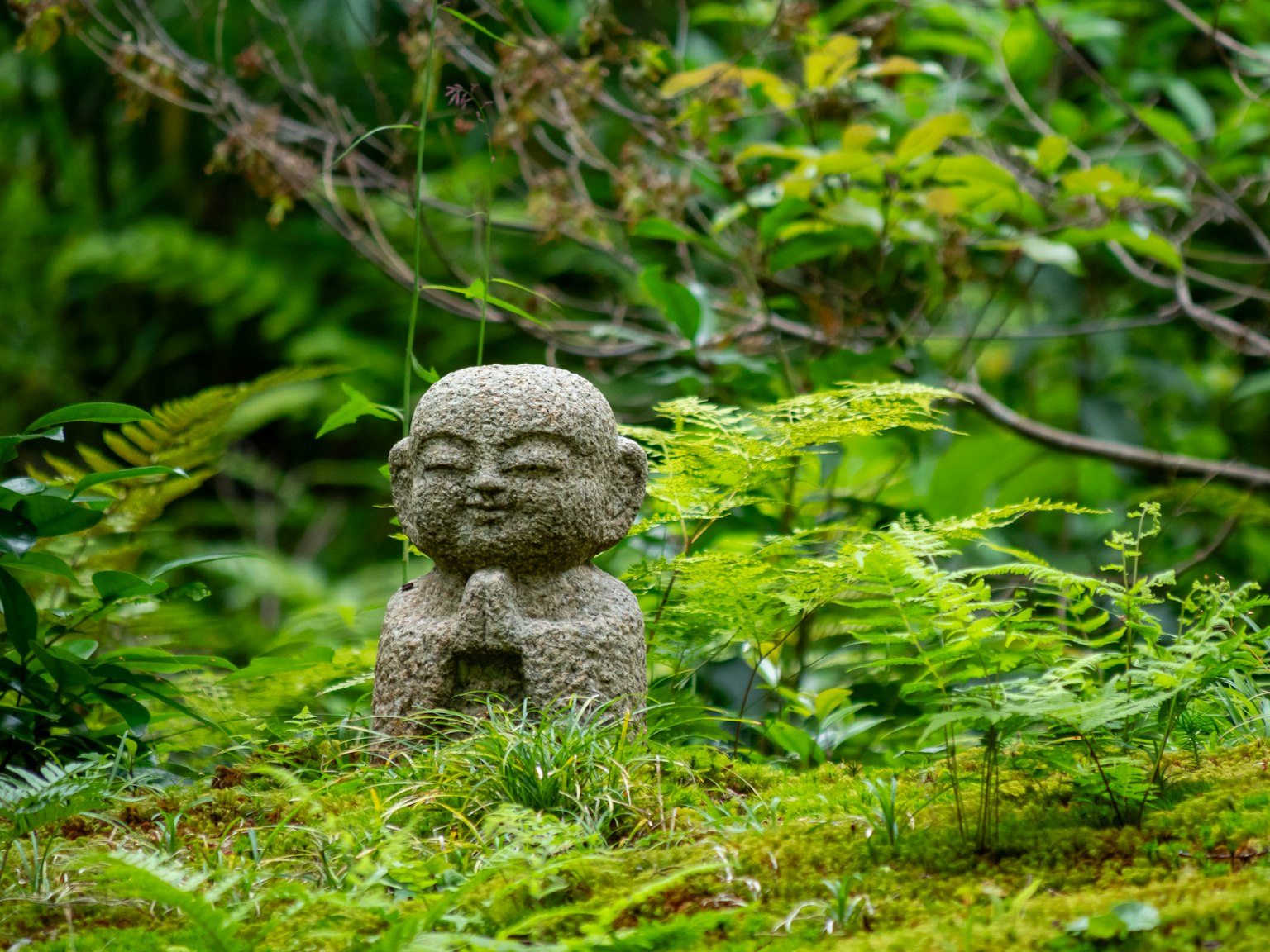 Statue en pierre d'une figure de Bouddha avec les mains jointes entourée de verdure luxuriante