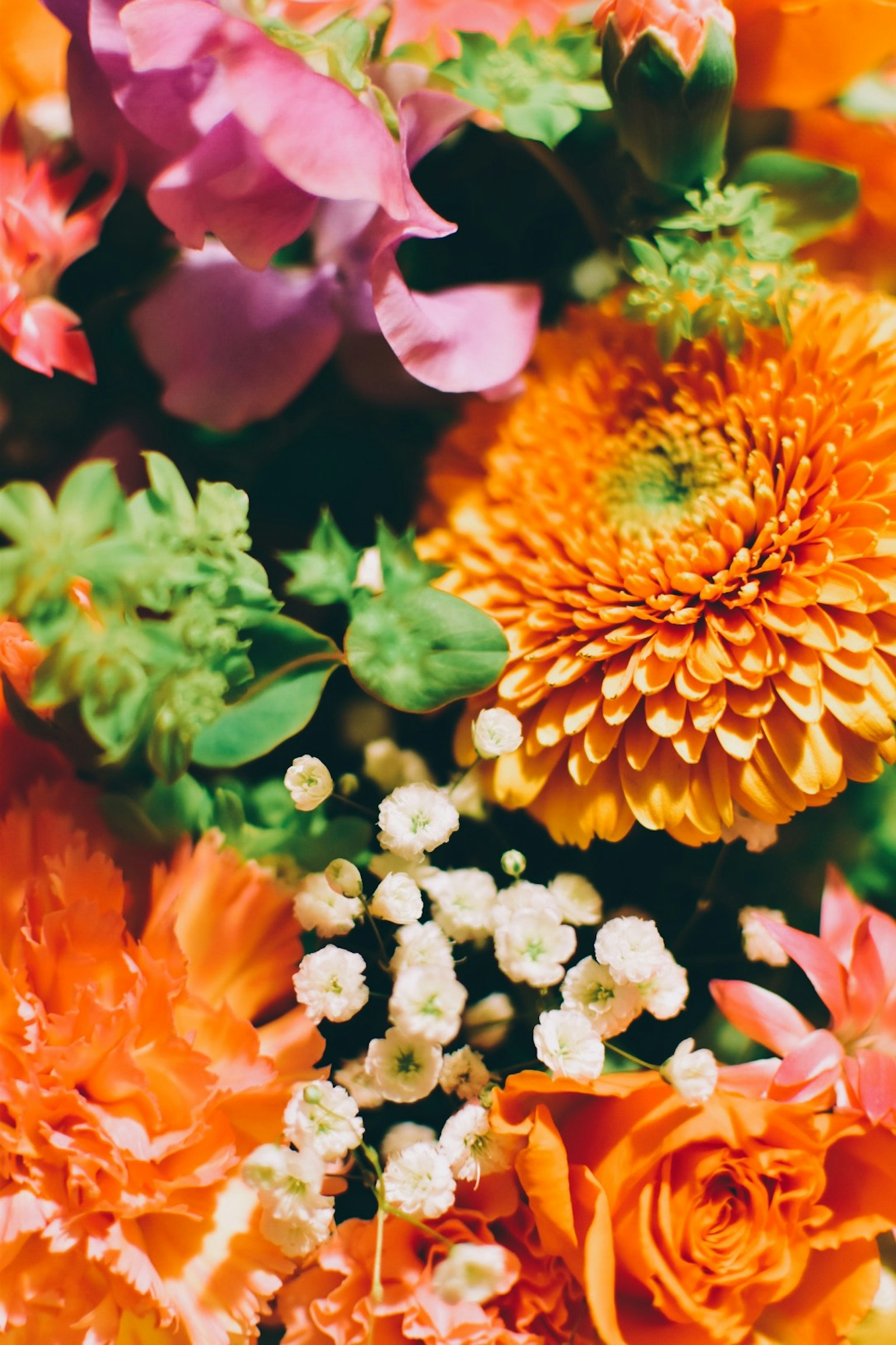 Primo piano di un bouquet vivace con una varietà di fiori colorati