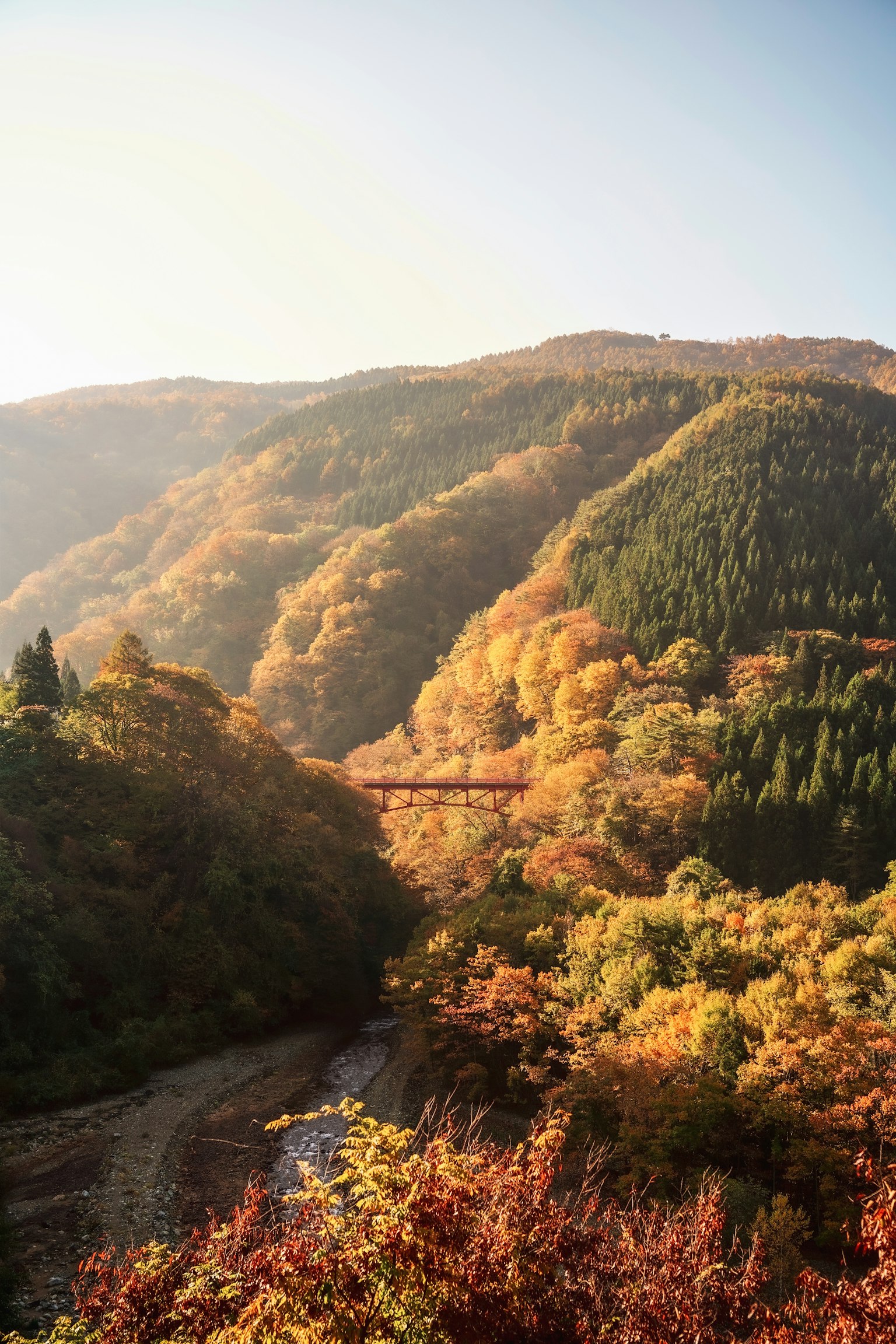 美麗的秋季風景，山上五彩斑斕的樹葉和柔和的光線照亮山丘