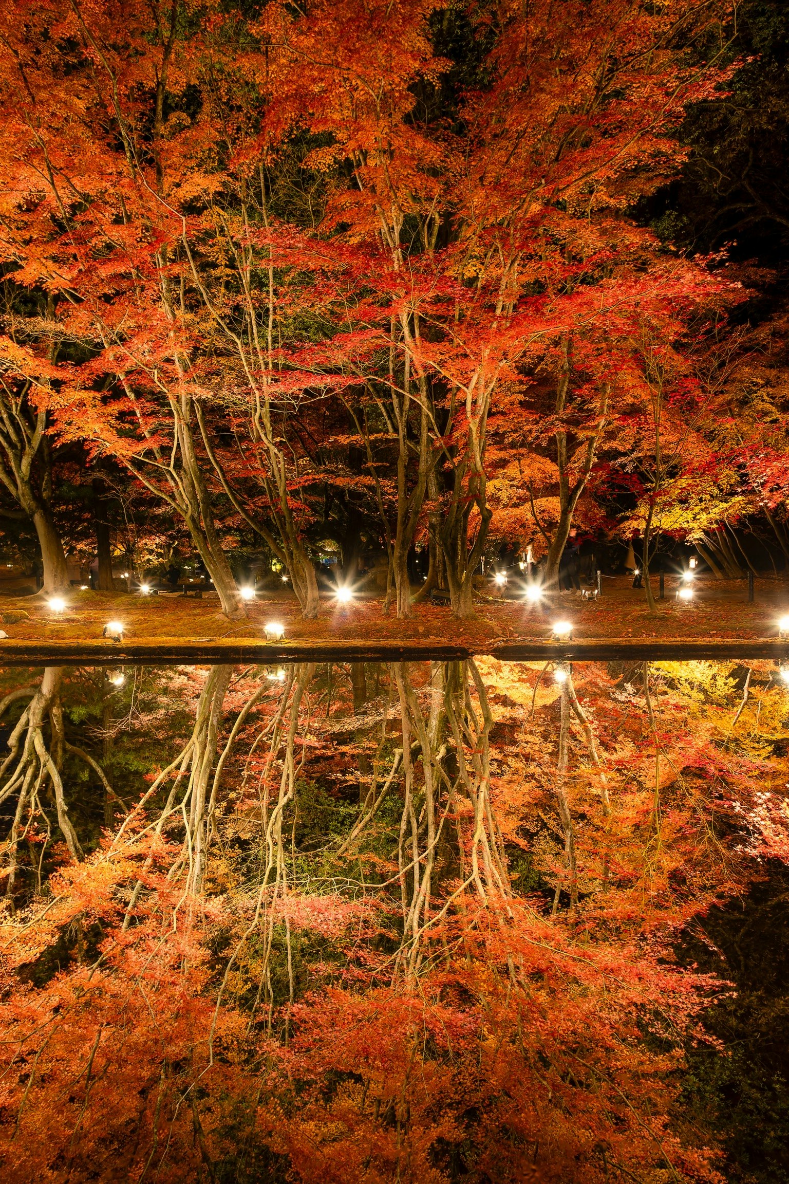 Schöne Herbstblätter spiegeln sich nachts im Wasser