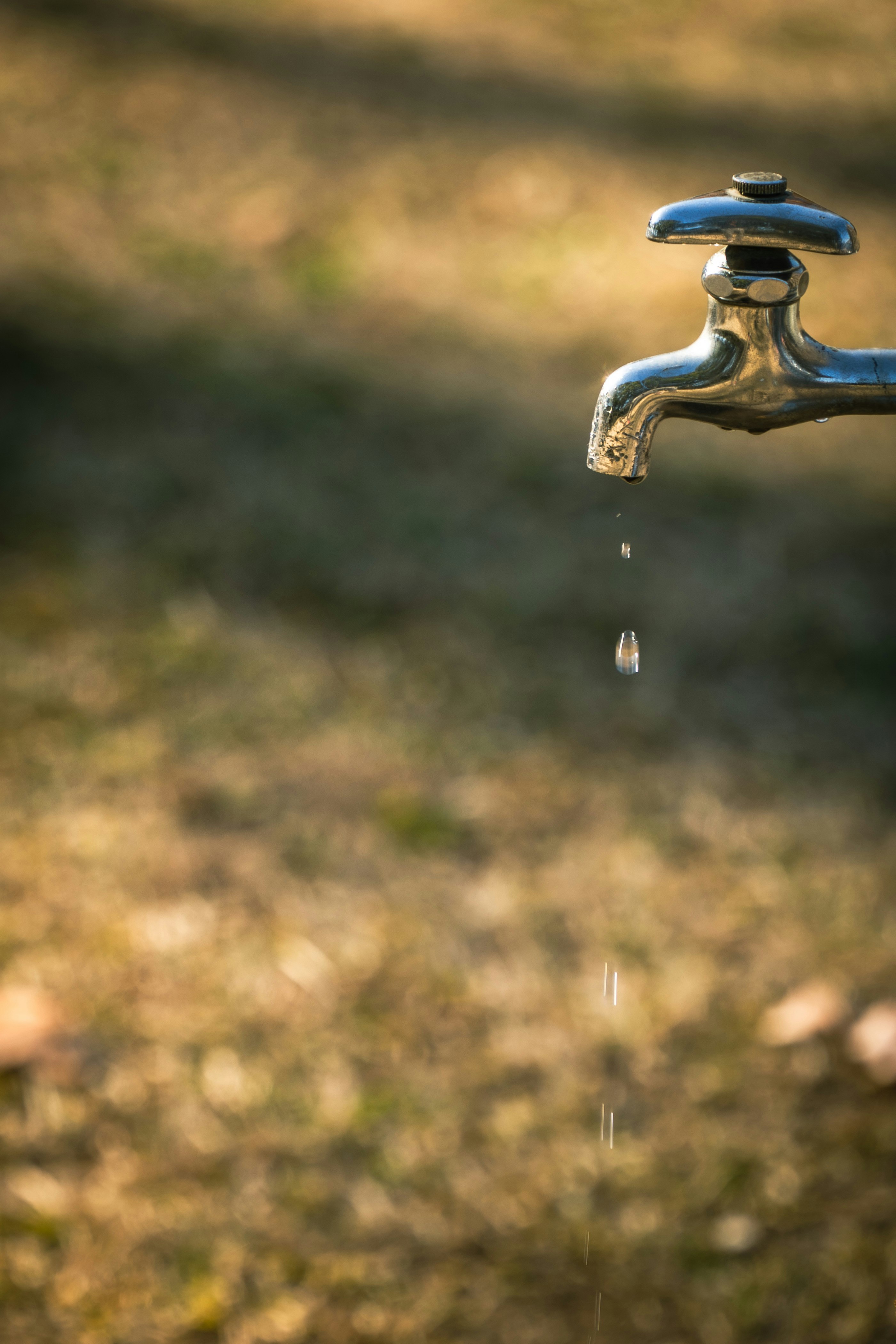 草地に滴る蛇口の水