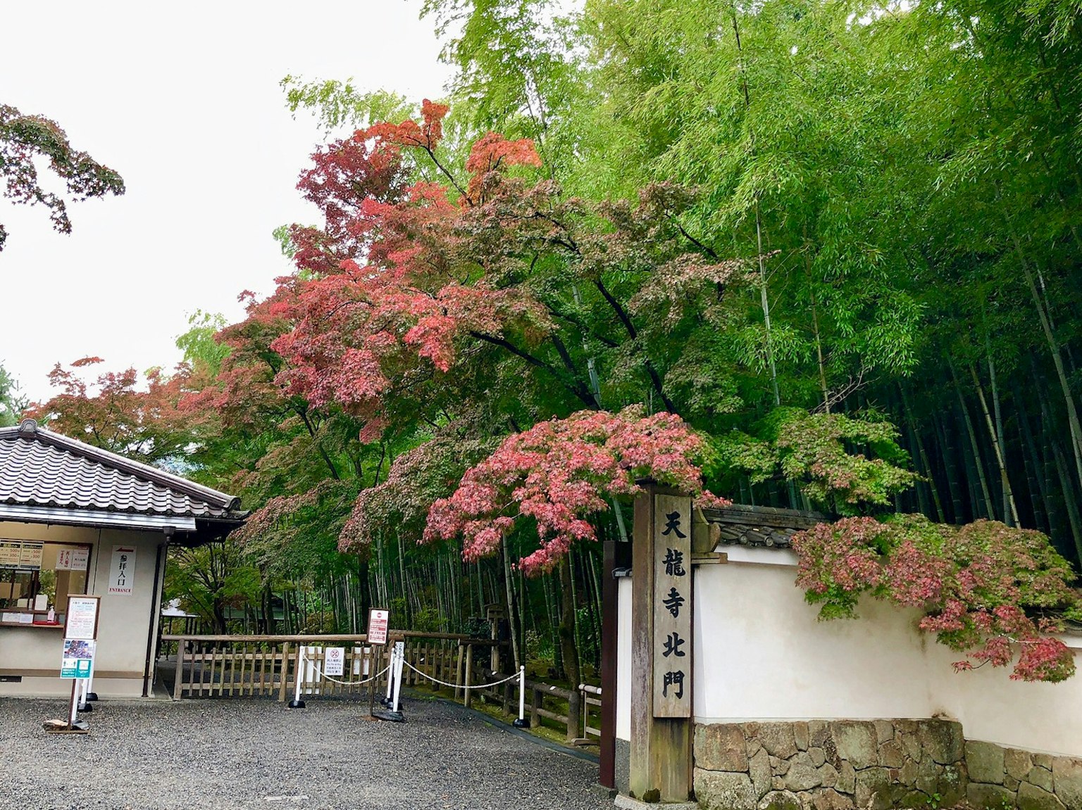 Eingang zu einem japanischen Garten mit lebhaftem Herbstlaub und Bambus