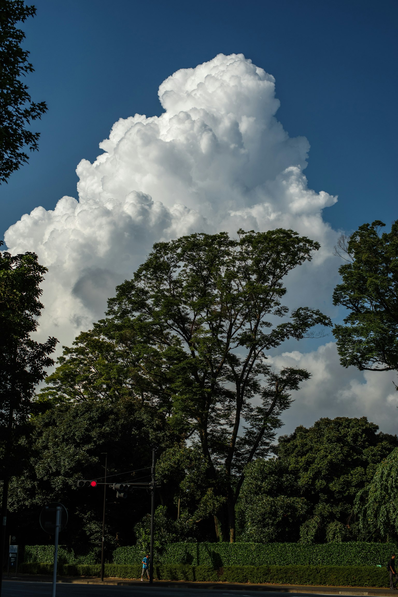 A landscape featuring large white clouds against a blue sky with green trees