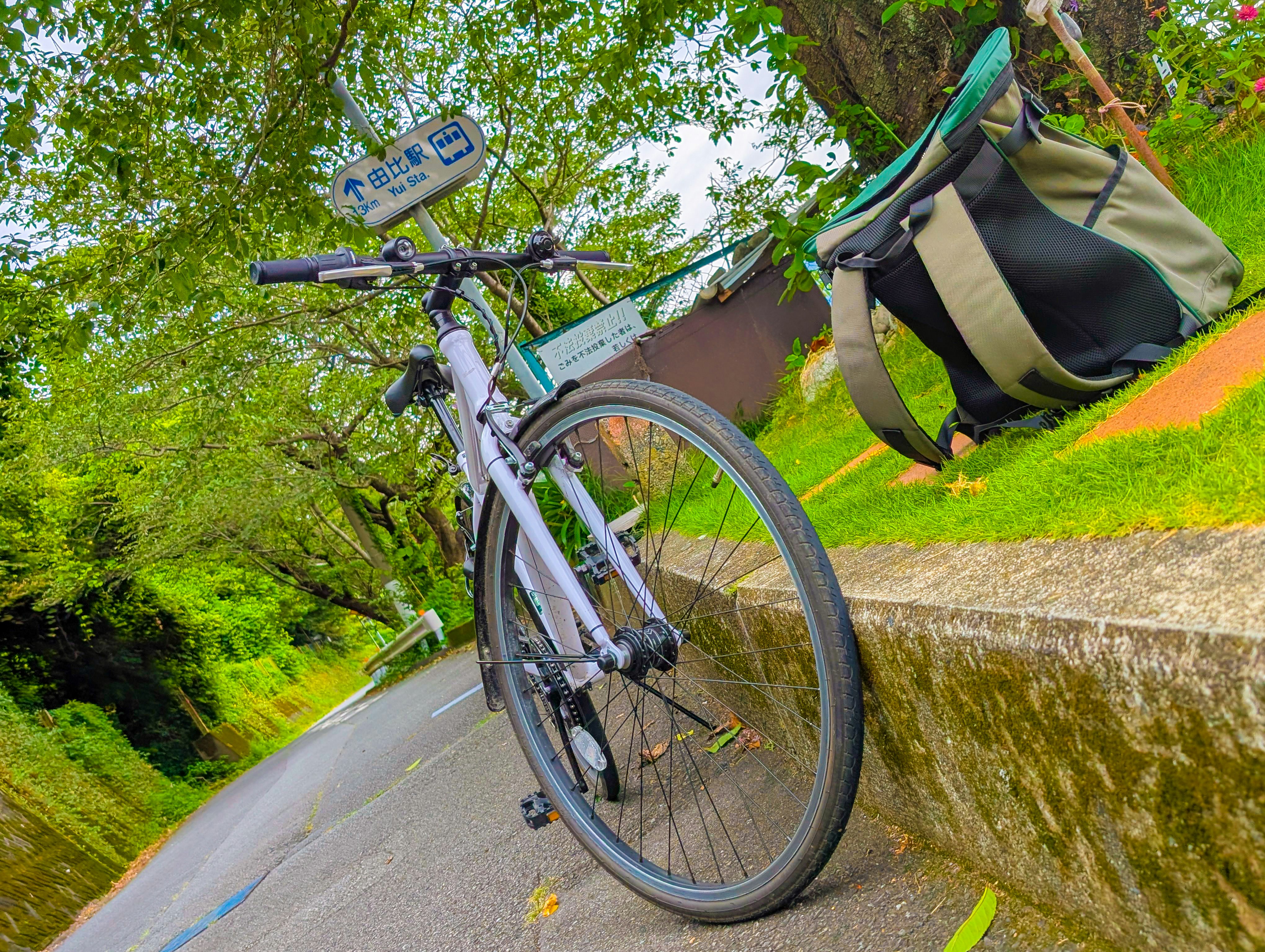 緑の並木道で自転車を停めた休憩風景