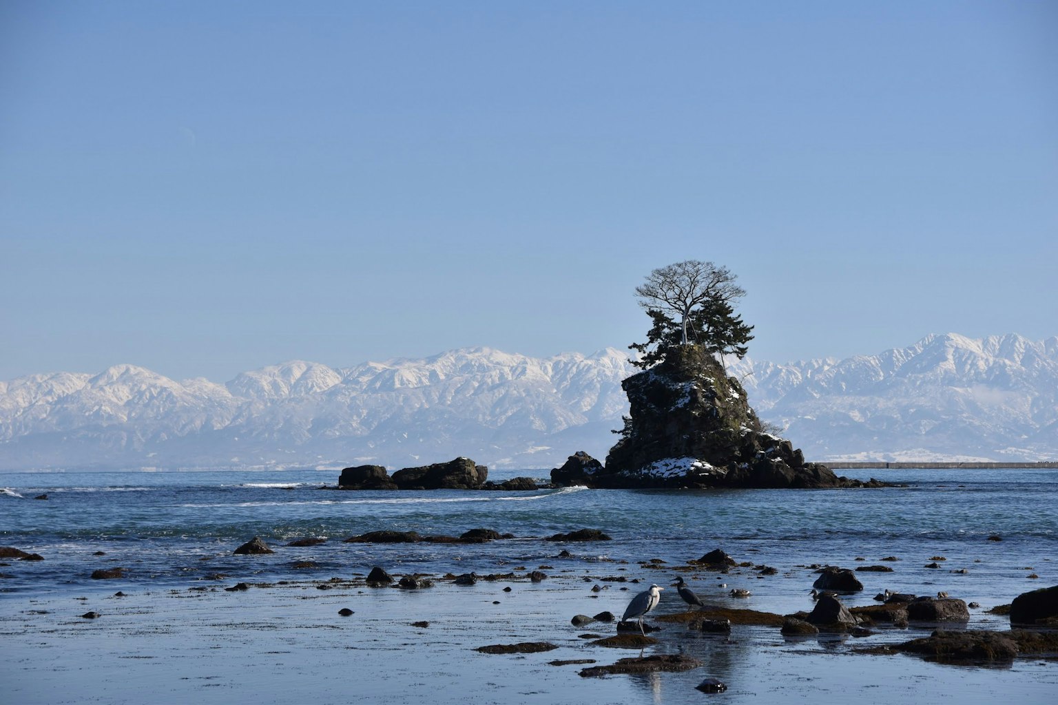 Small island with a tree against a backdrop of blue sea and snow-capped mountains