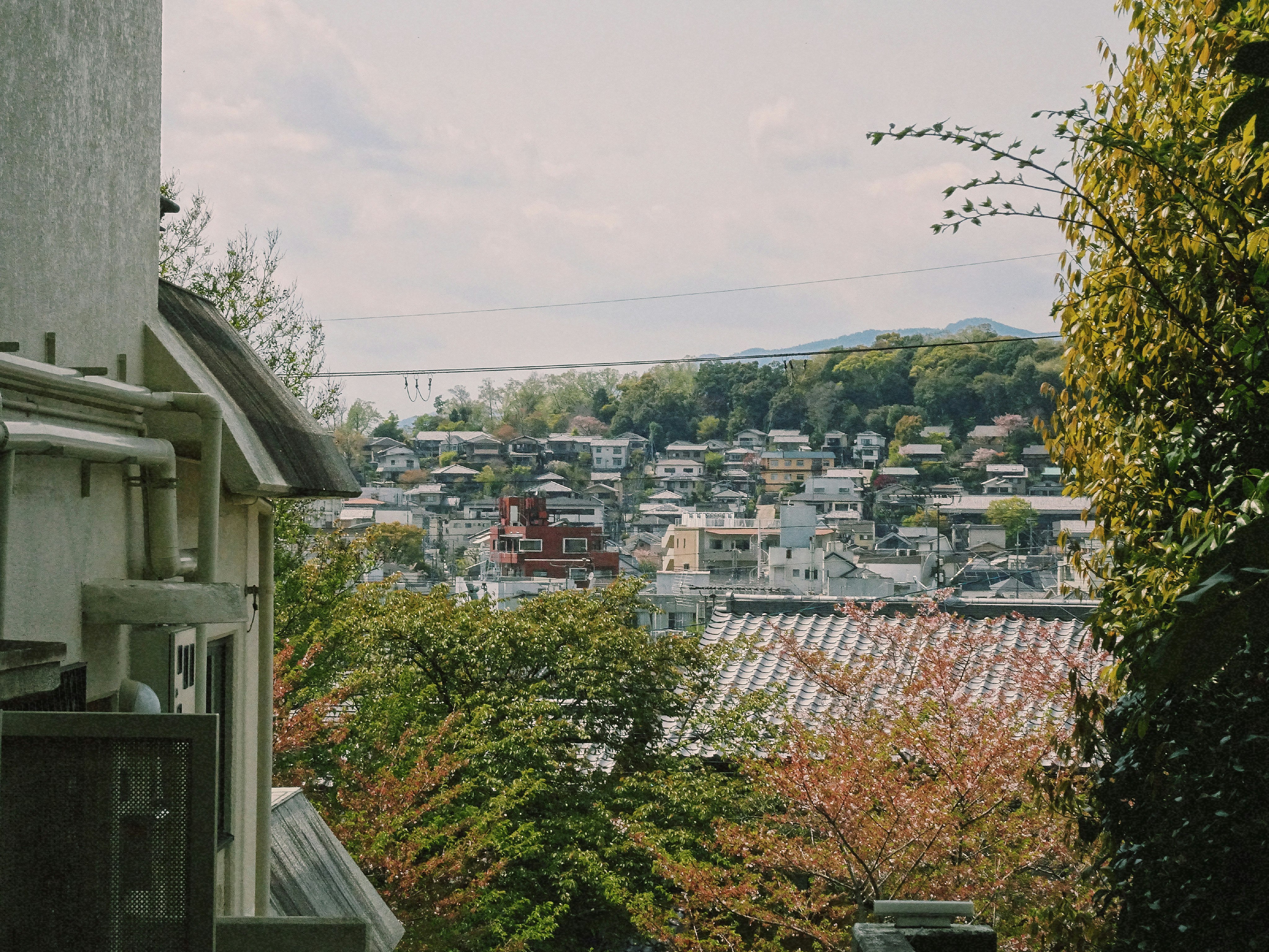 俯瞰住宅區與遠處山景