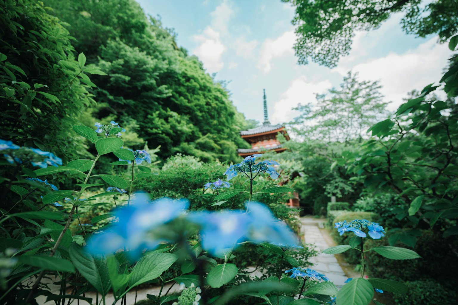 Bâtiment traditionnel japonais entouré de fleurs bleues et de verdure luxuriante