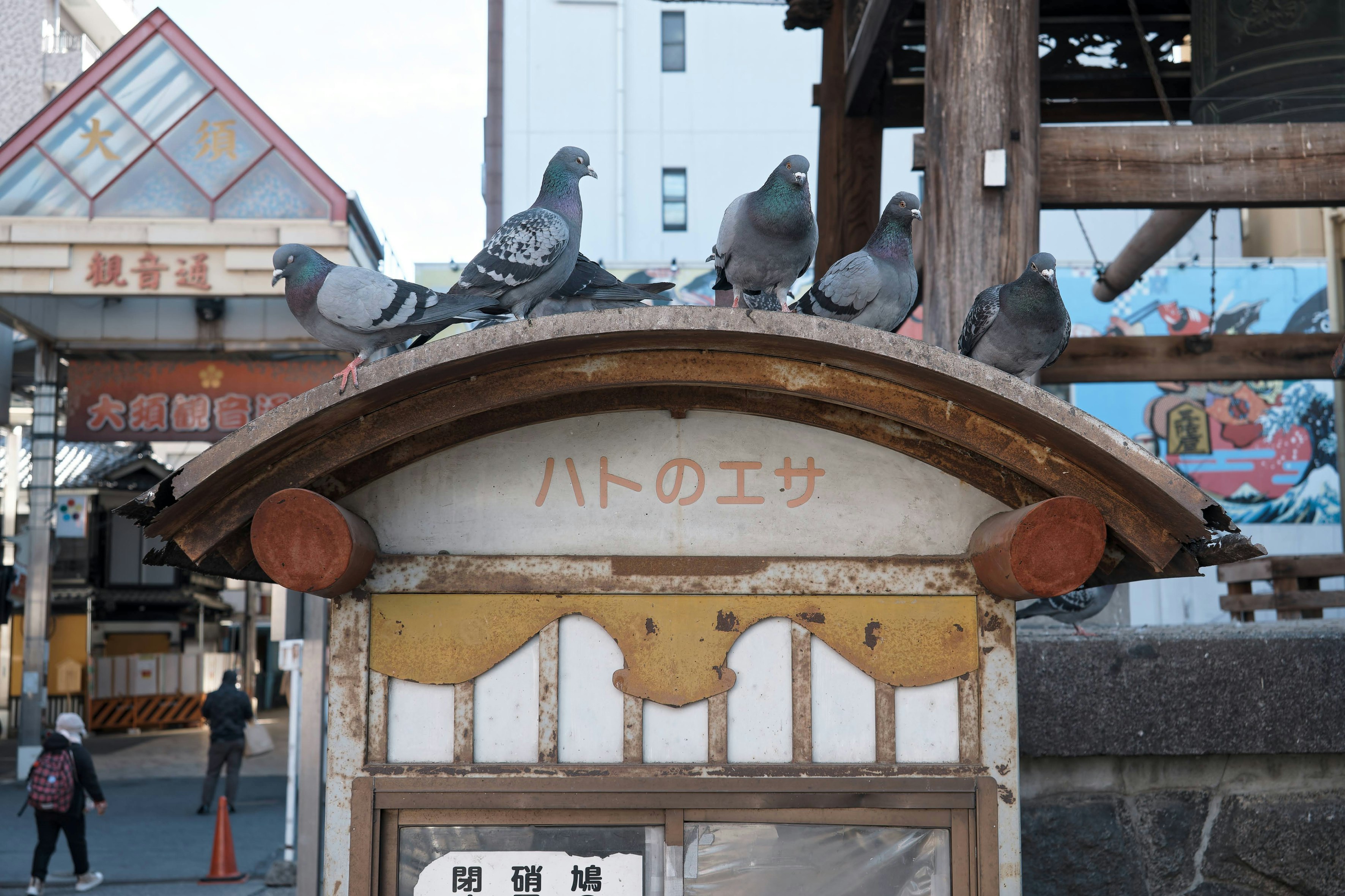 名古屋市大須観音の鳩が集まる案内所前の風景