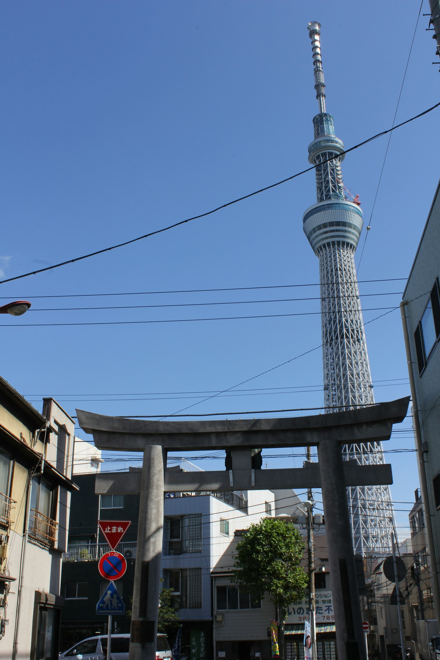 Tokyo Skytree et torii sous un ciel bleu clair