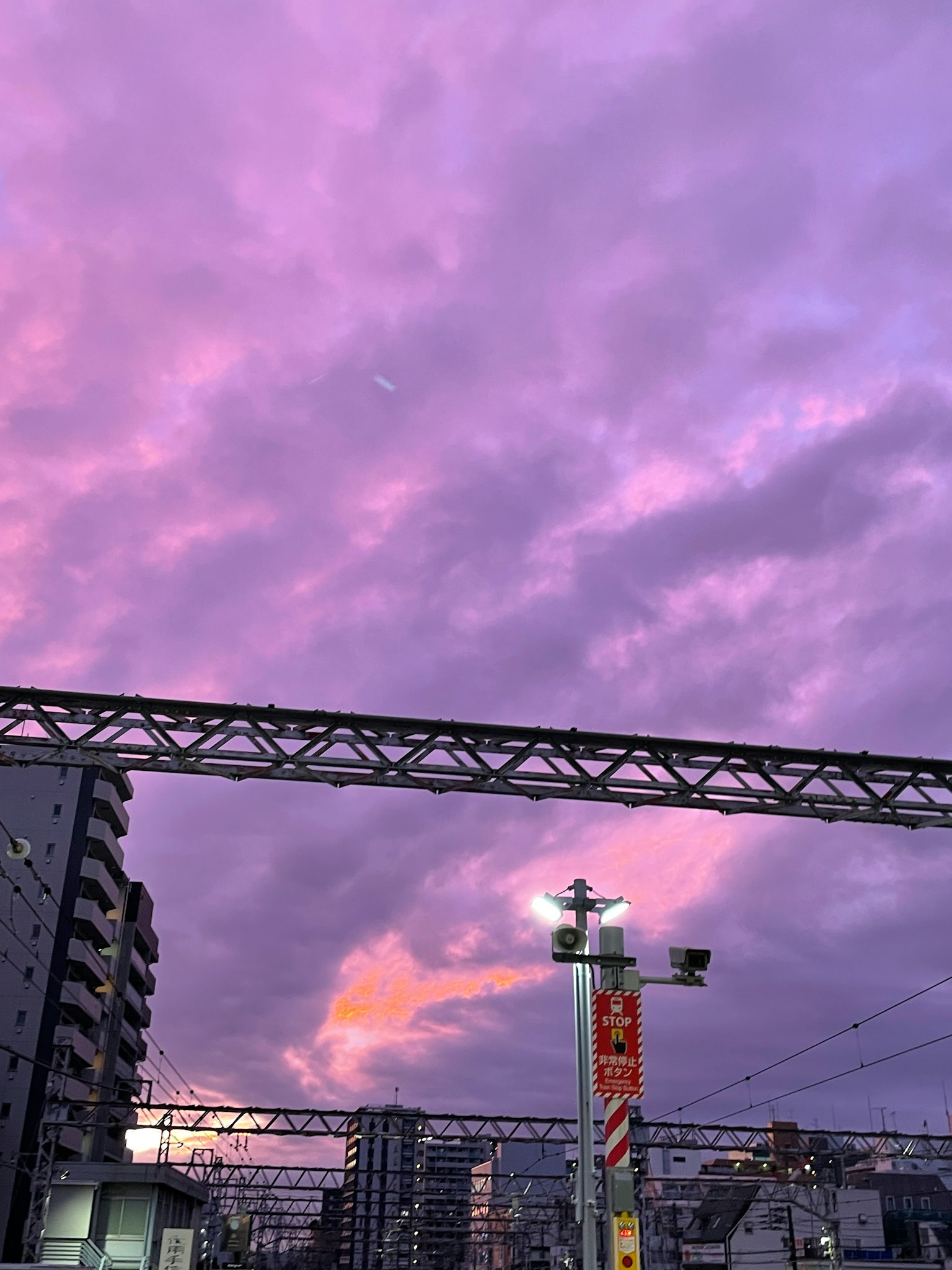 壮观的紫色天空和城市建筑的日落