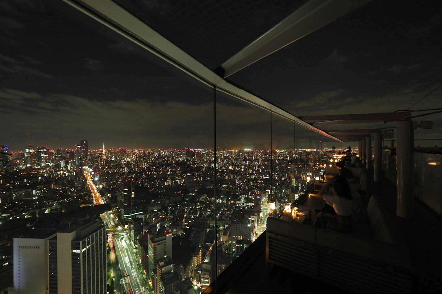 View of Tokyo's night skyline from an observation deck in a skyscraper