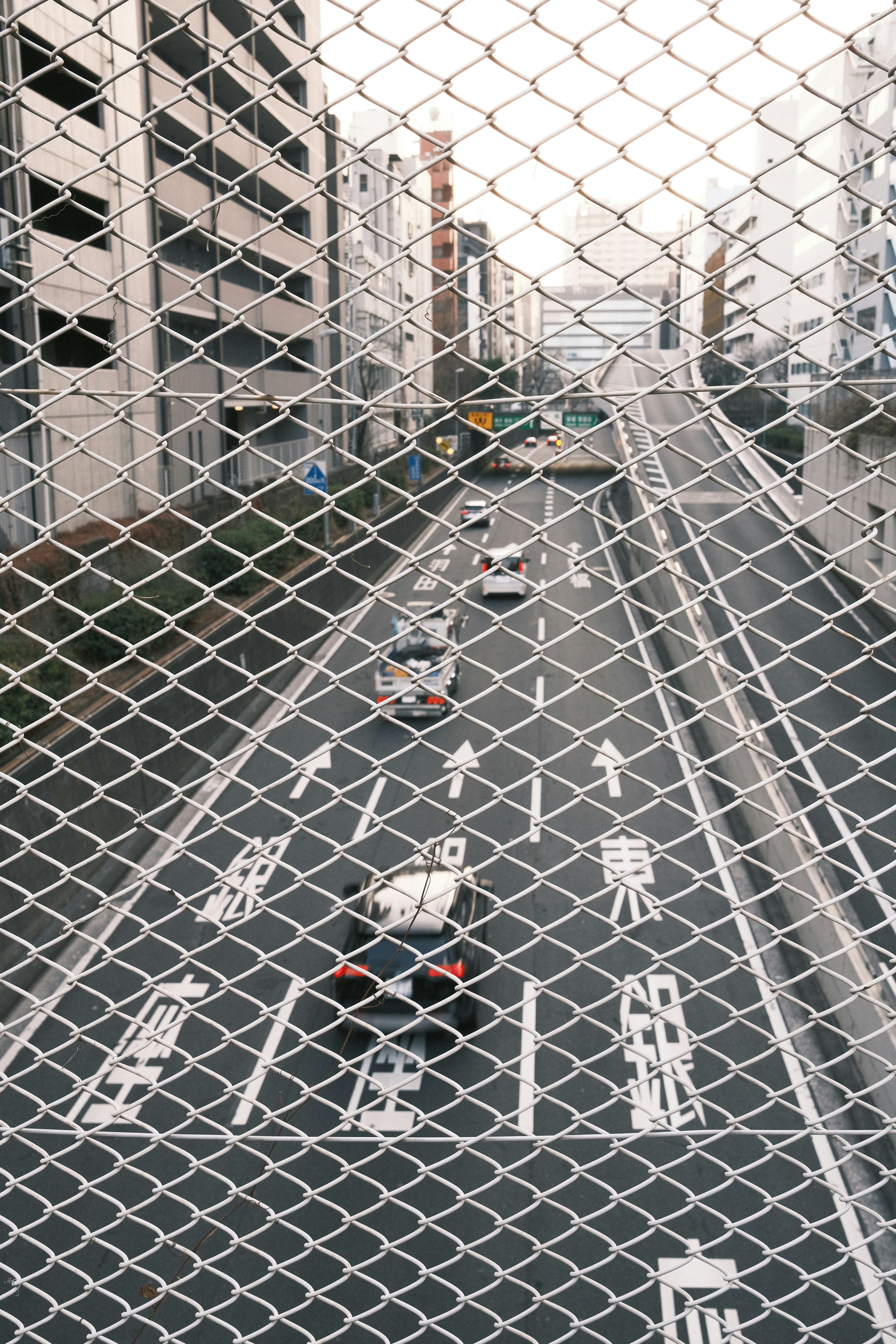 铁丝网后方的城市天际线景观