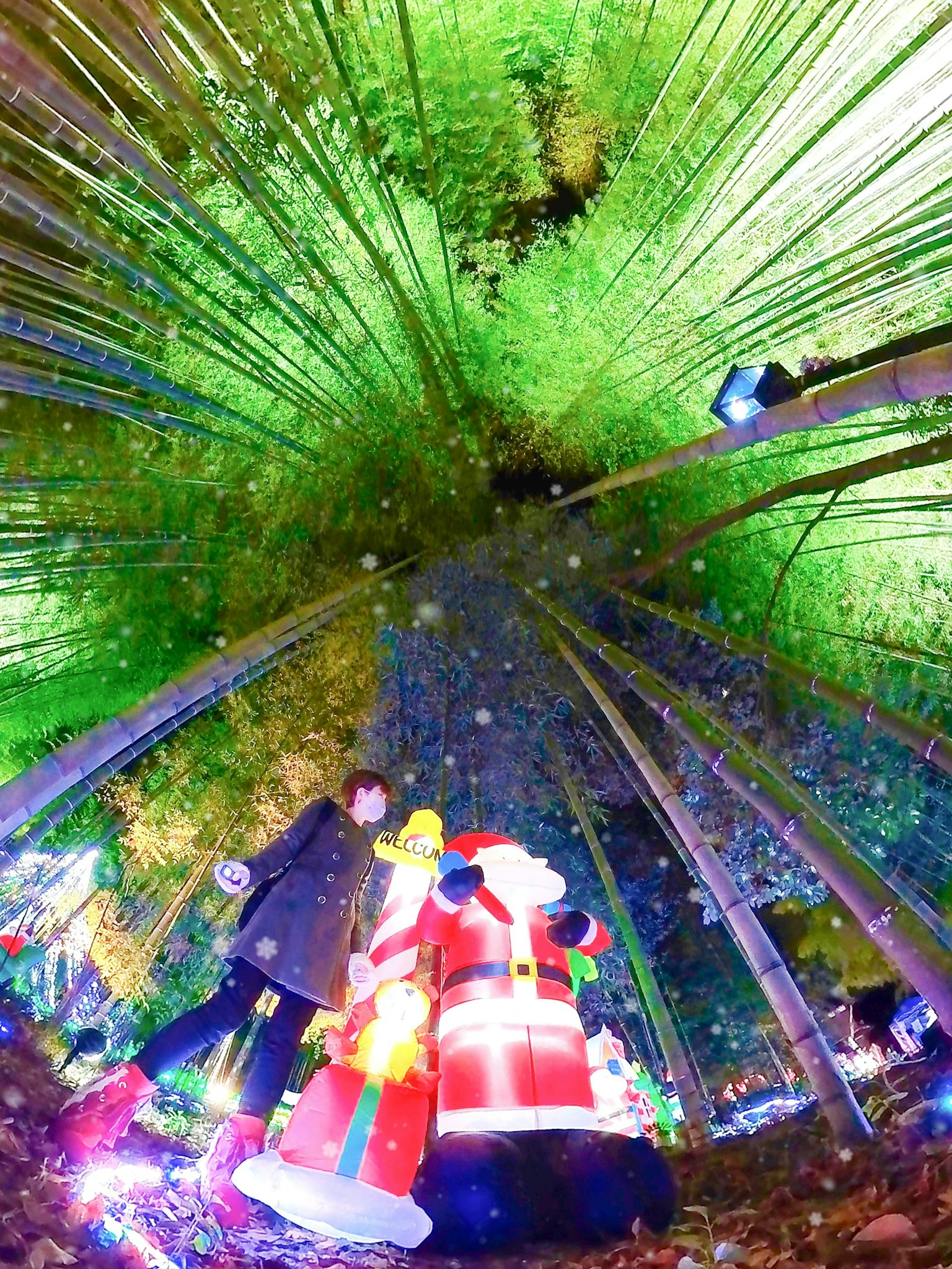 A Christmas-themed bamboo forest with colorful lights and a Santa figure