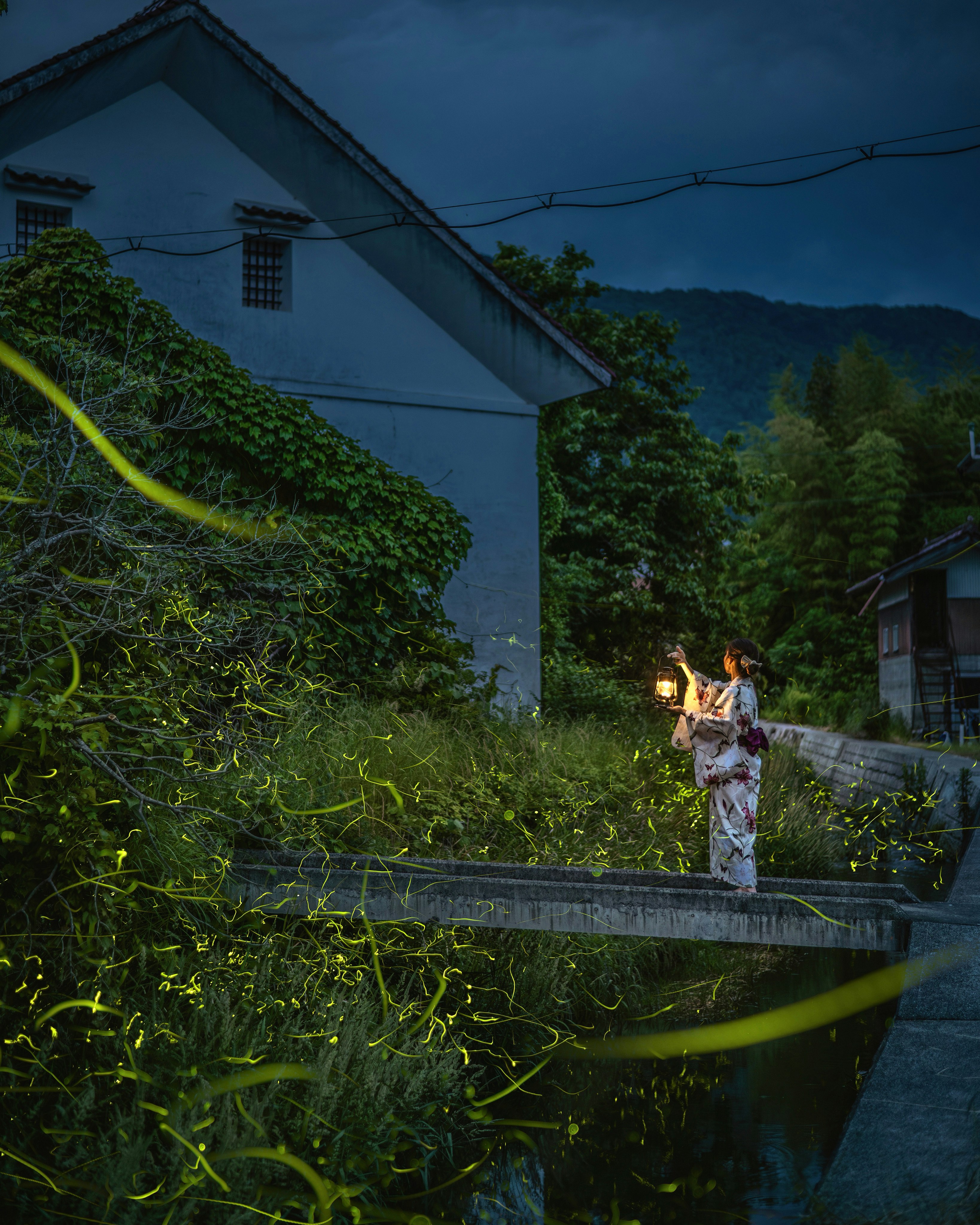 Genji fireflies glowing along a river in Shiwahori, Higashihiroshima, Hiroshima at night