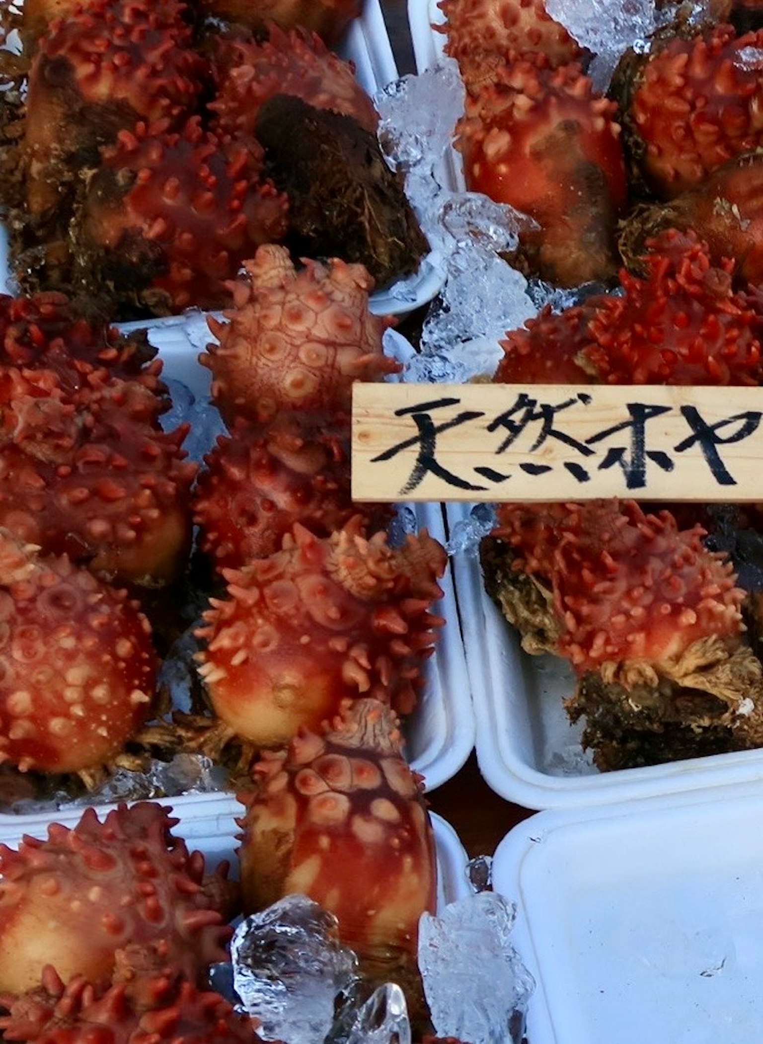 Esposizione di frutti di mare naturali in un mercato