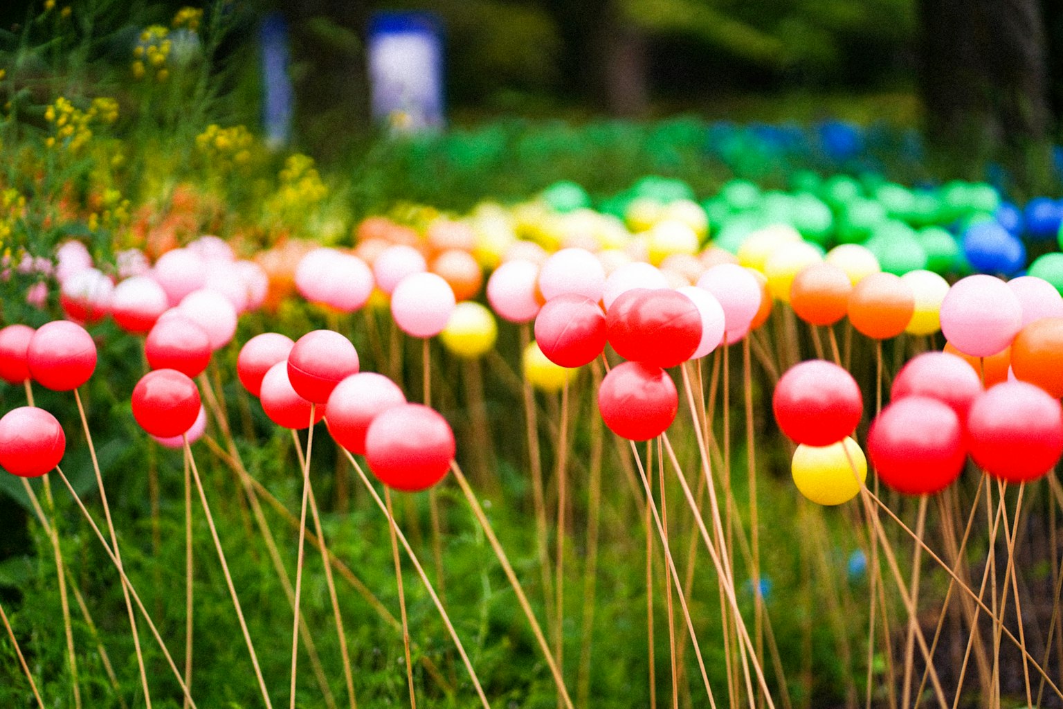 ลูกบอลสีสันสดใสบนแท่งในสภาพแวดล้อมกลางแจ้งที่มีชีวิตชีวา