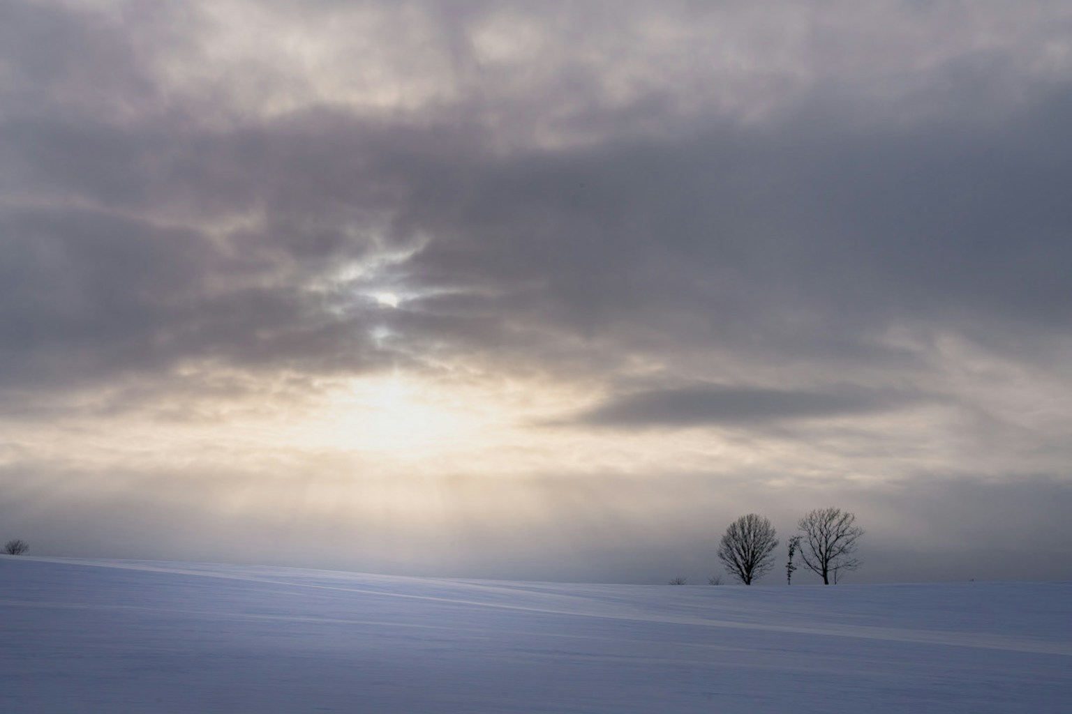 Paesaggio innevato con cielo nuvoloso e due alberi