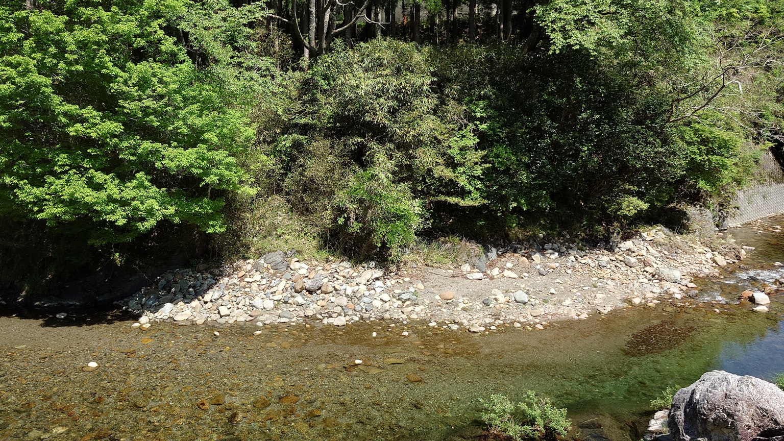宁静的河流景观，绿树成荫和岩石河岸
