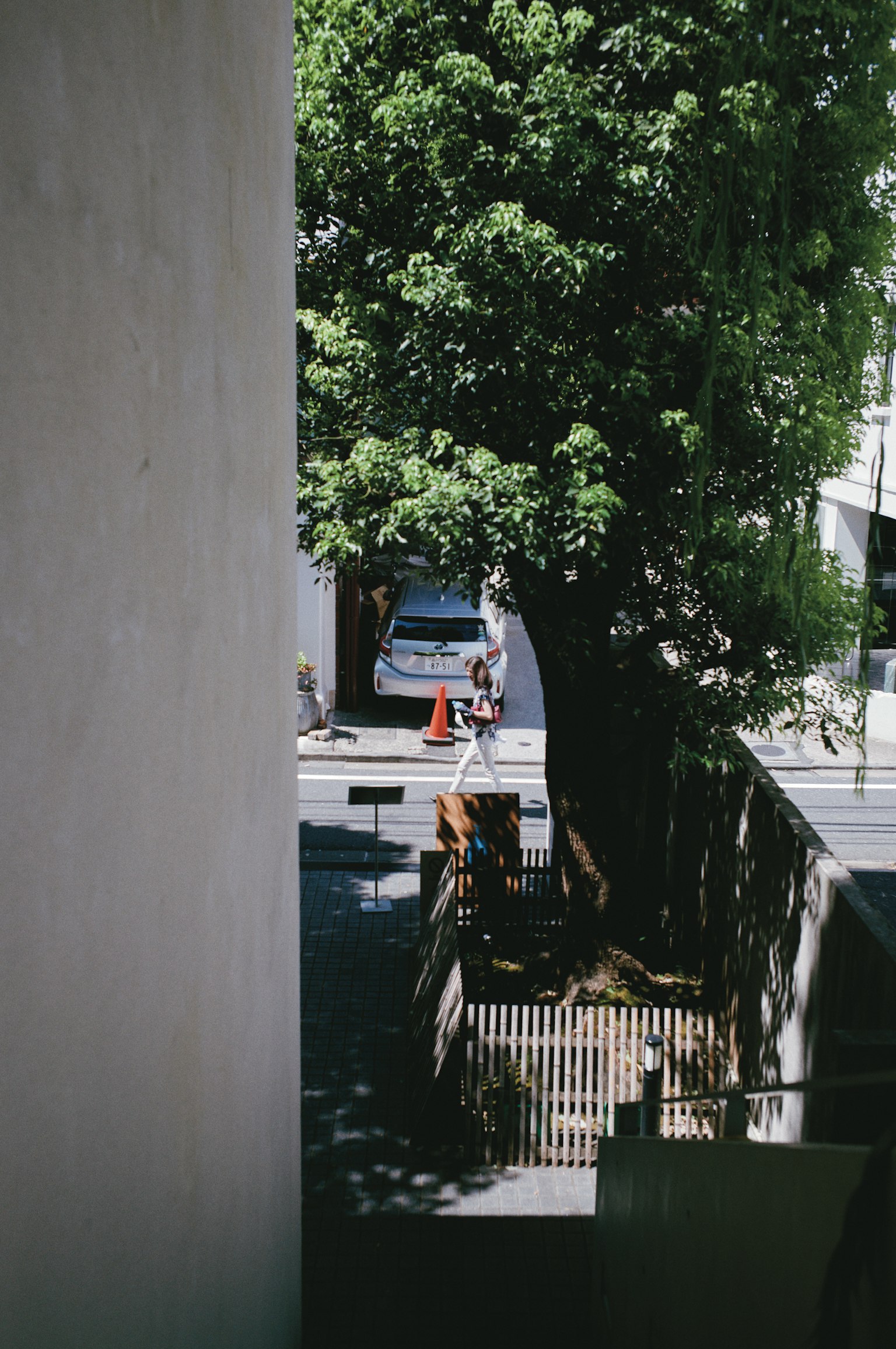 Street view featuring a large tree and a blue car