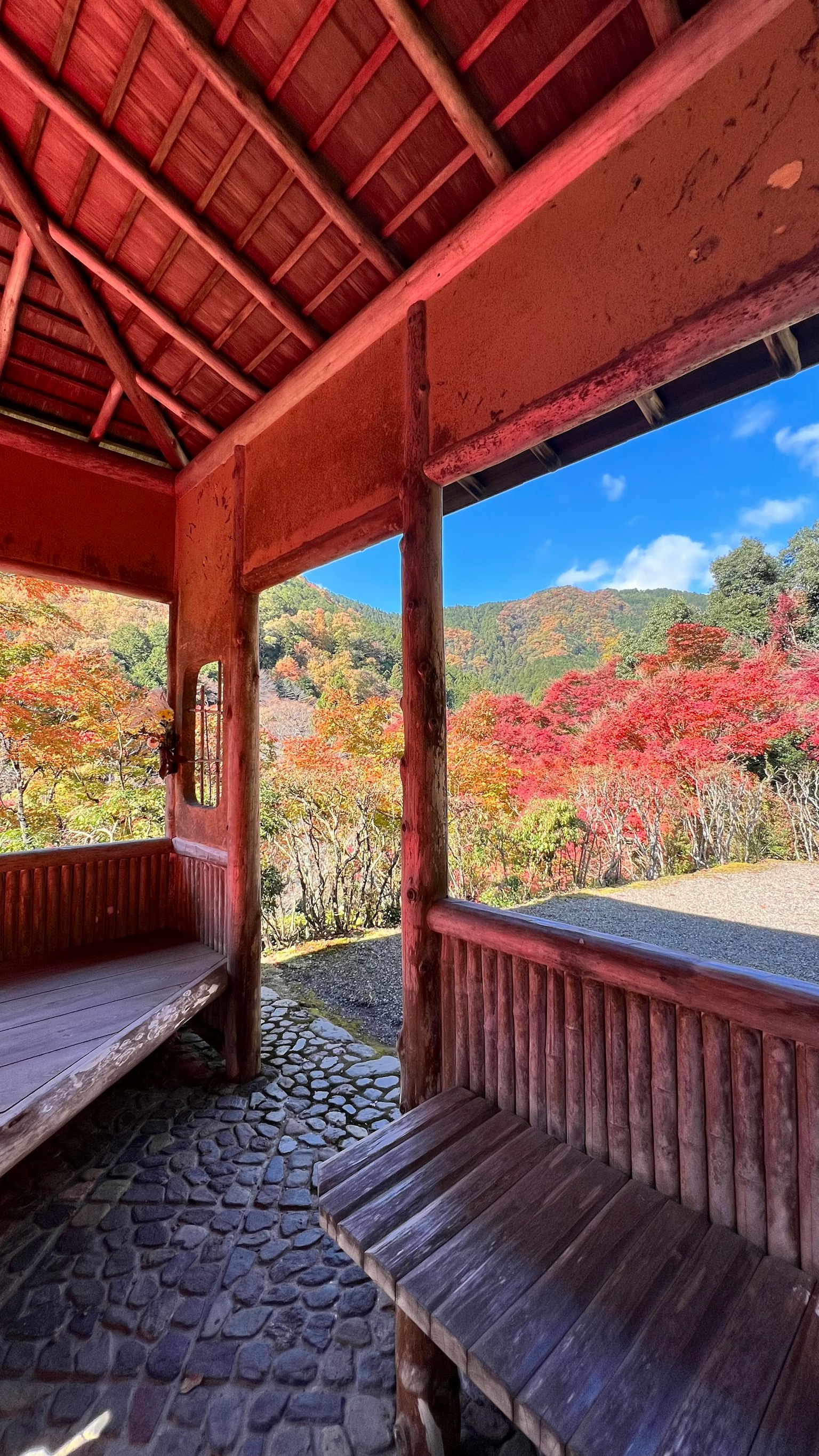 小屋內部可見生機勃勃的紅色樹葉
