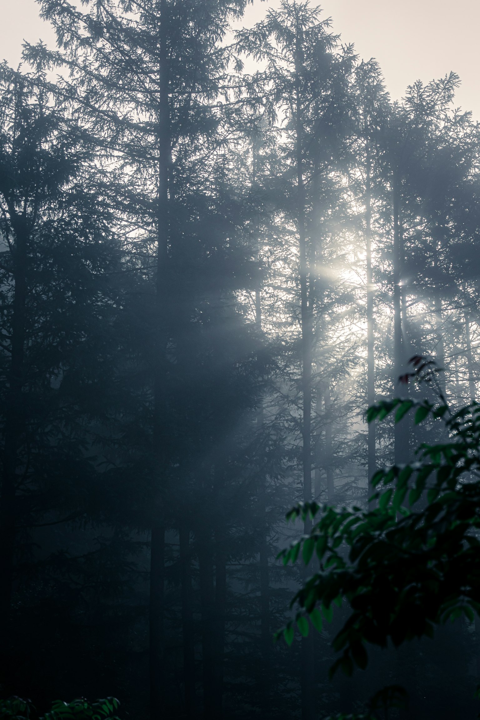 photo-yr3MNTluOT0gjpQGe6pr-image