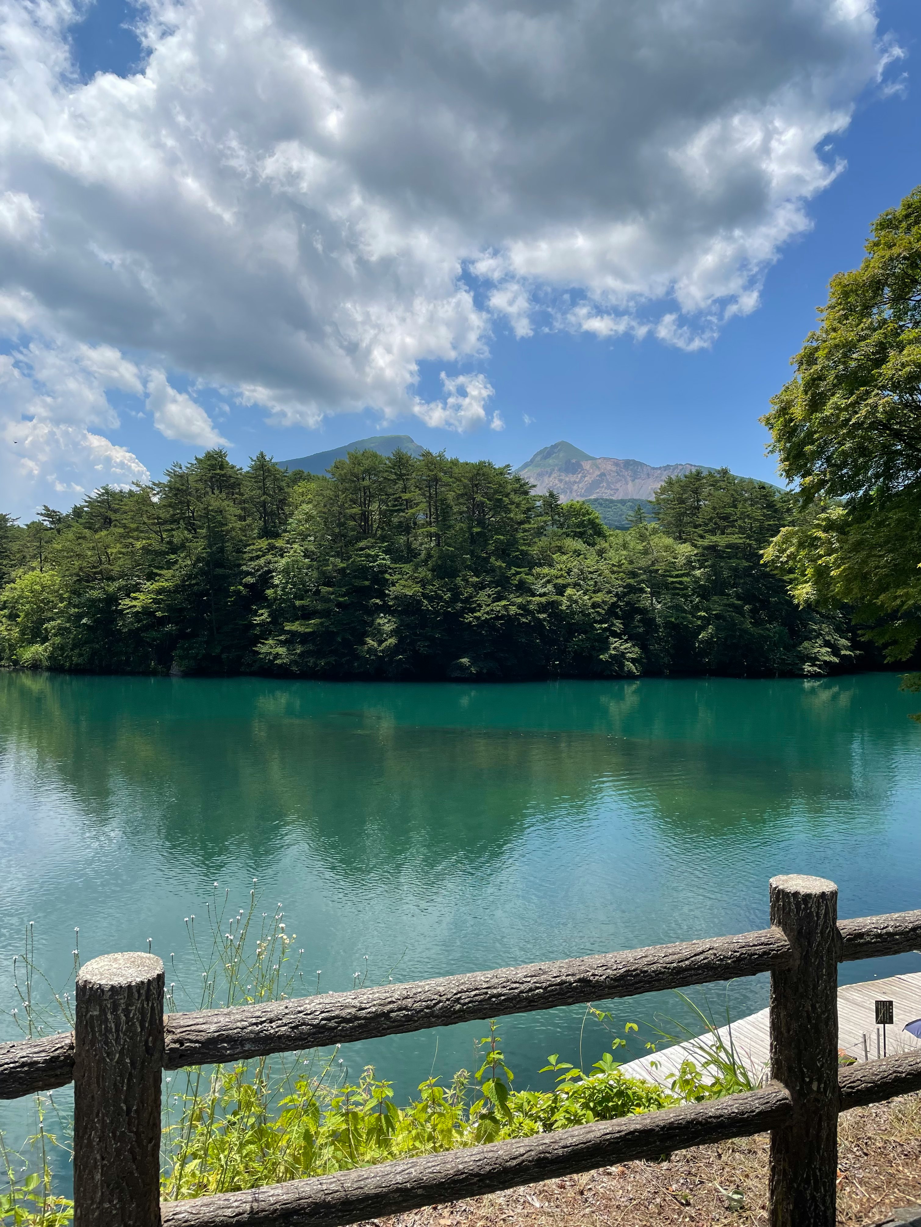 湖畔の木製柵越しに広がるエメラルド色の水と森、遠くの山