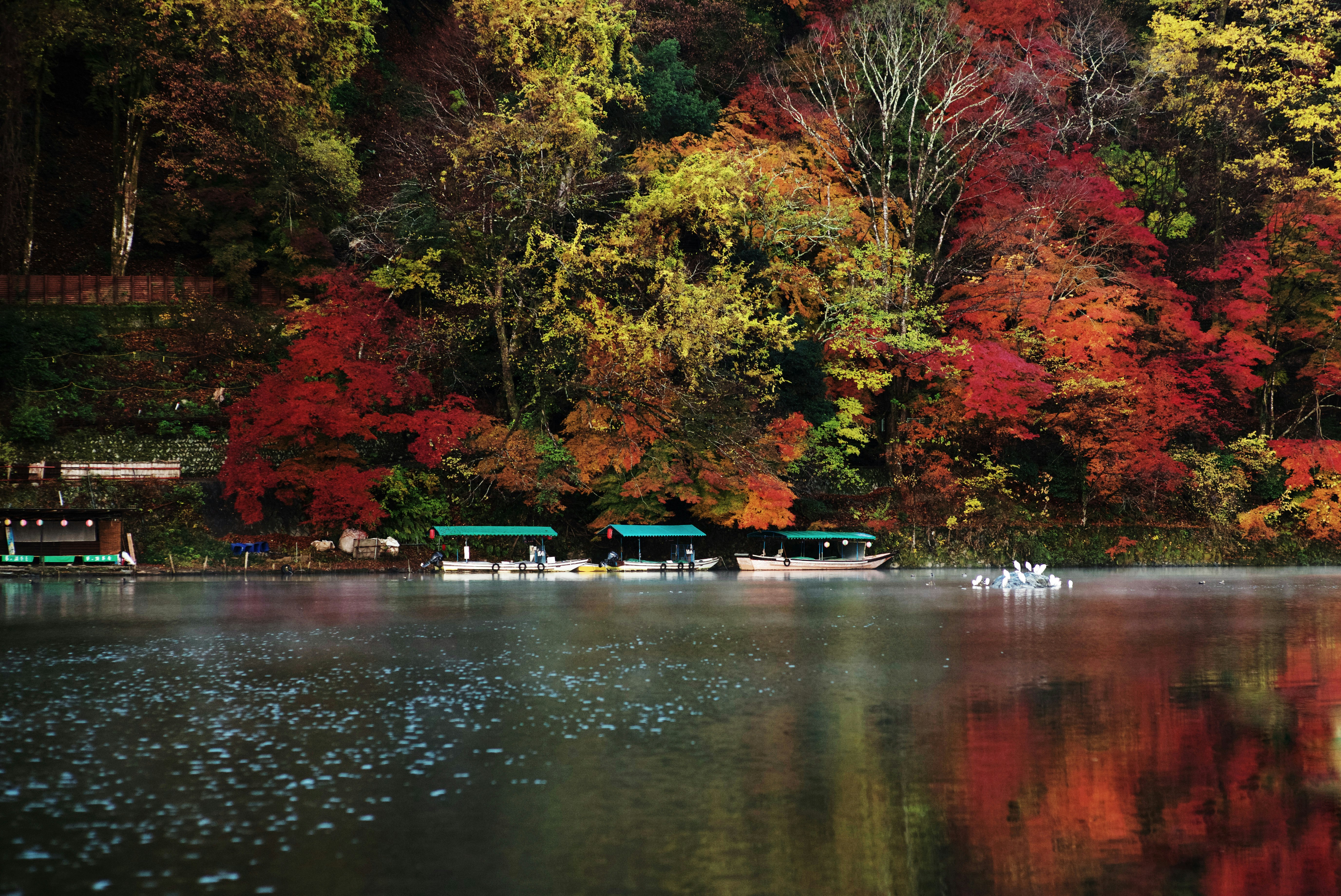 嵐山の紅葉と霧の川面に映る景色