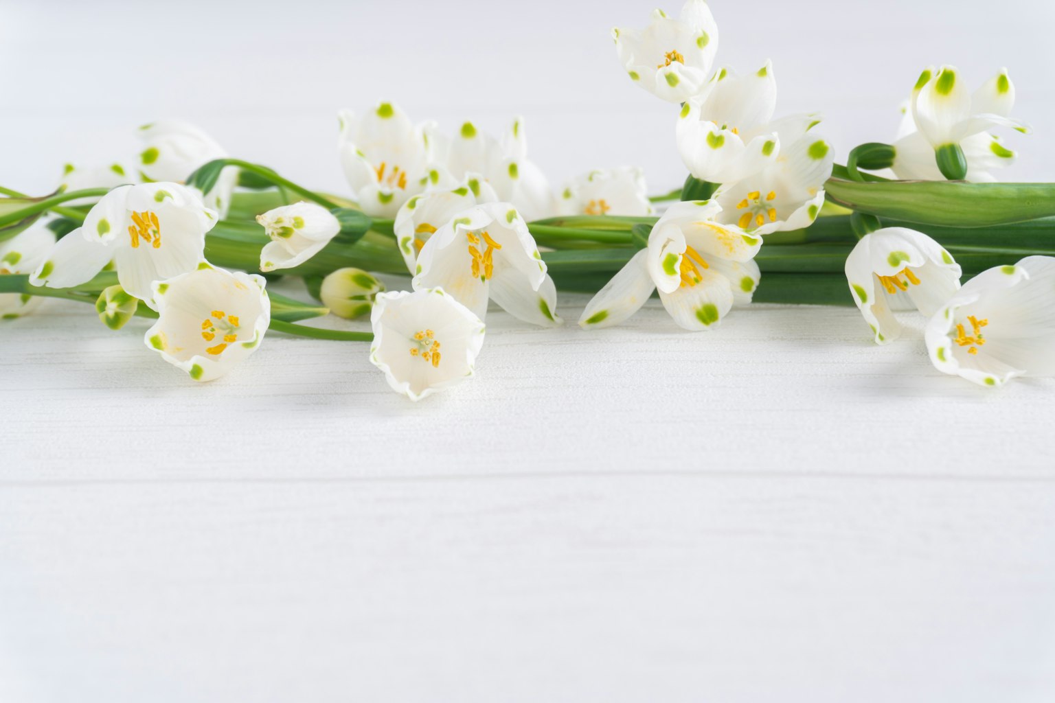 Arrangement magnifique de fleurs blanches avec des tiges vertes
