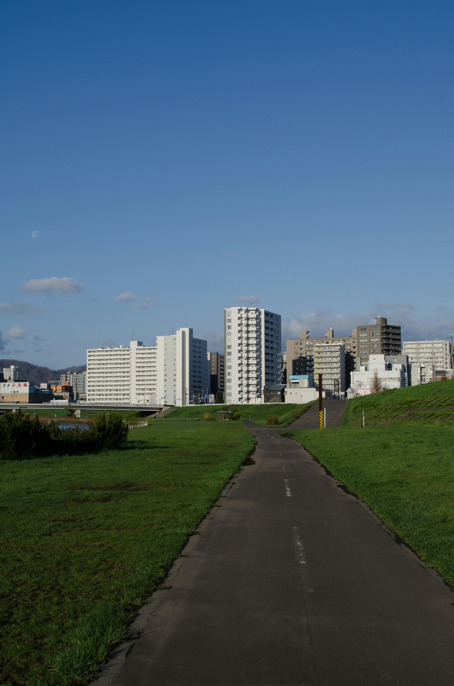 Green pathway leading towards a skyline of tall buildings under a blue sky