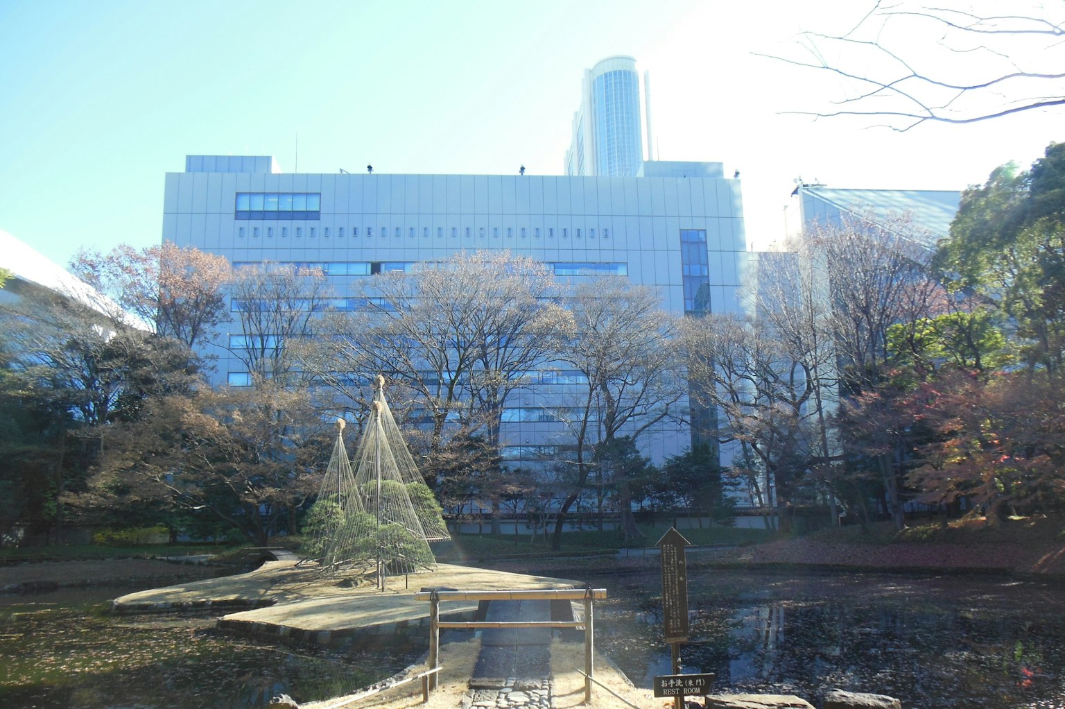 View of a park pond with buildings in the background