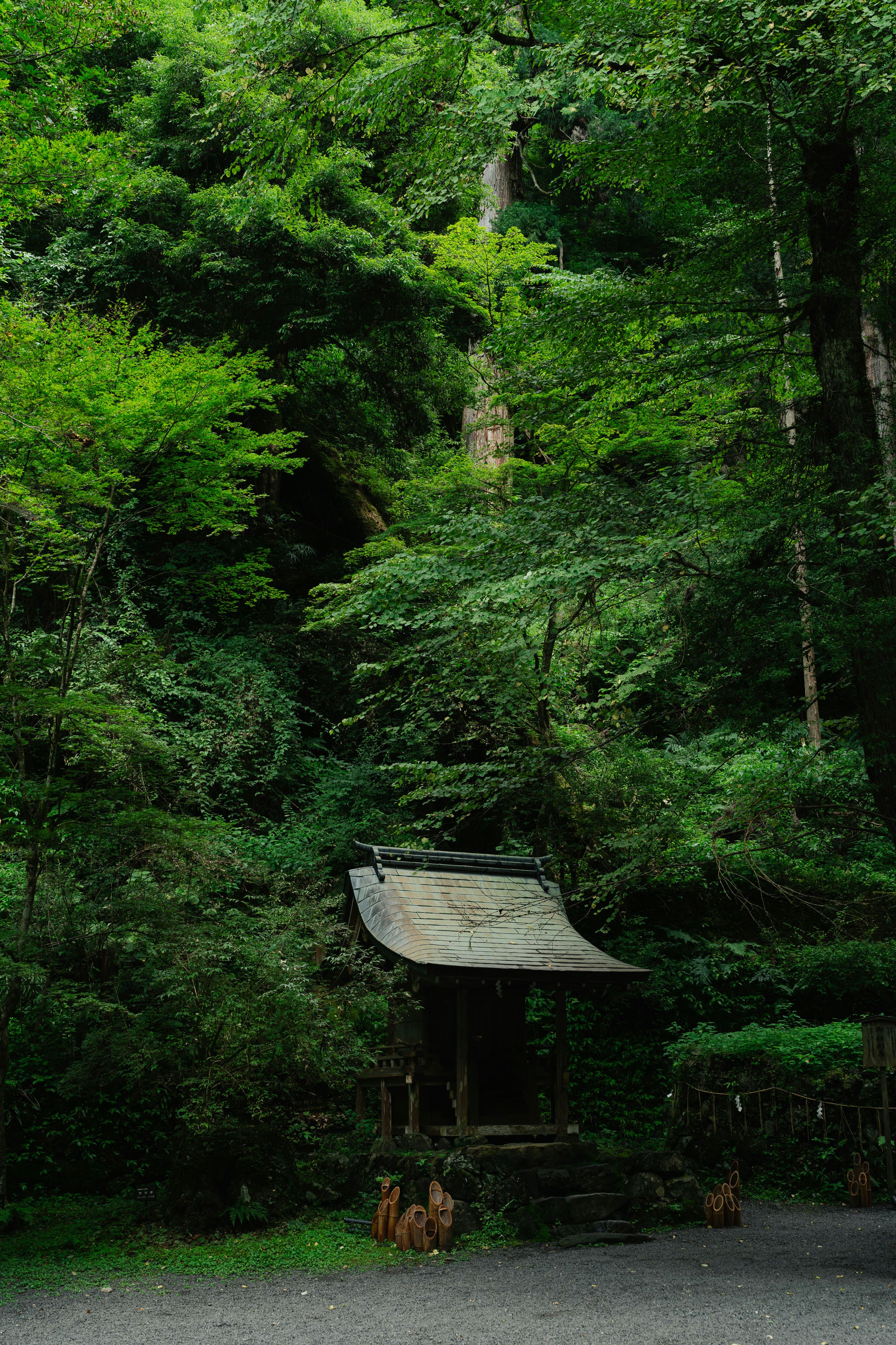 緑の森の中に佇む小さな祠