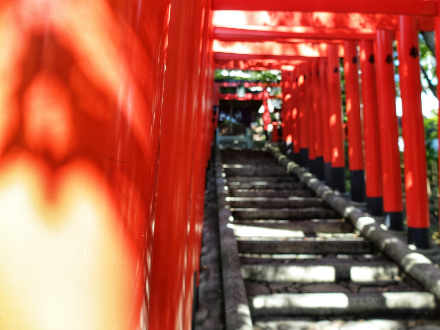View of a pathway lined with red torii gates leading up a staircase