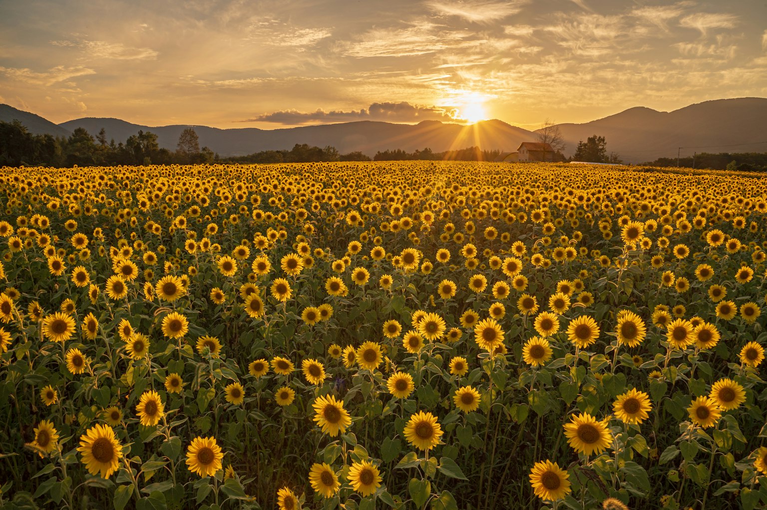 photo-ytyJQpIHlctMcfCVlXdt-image