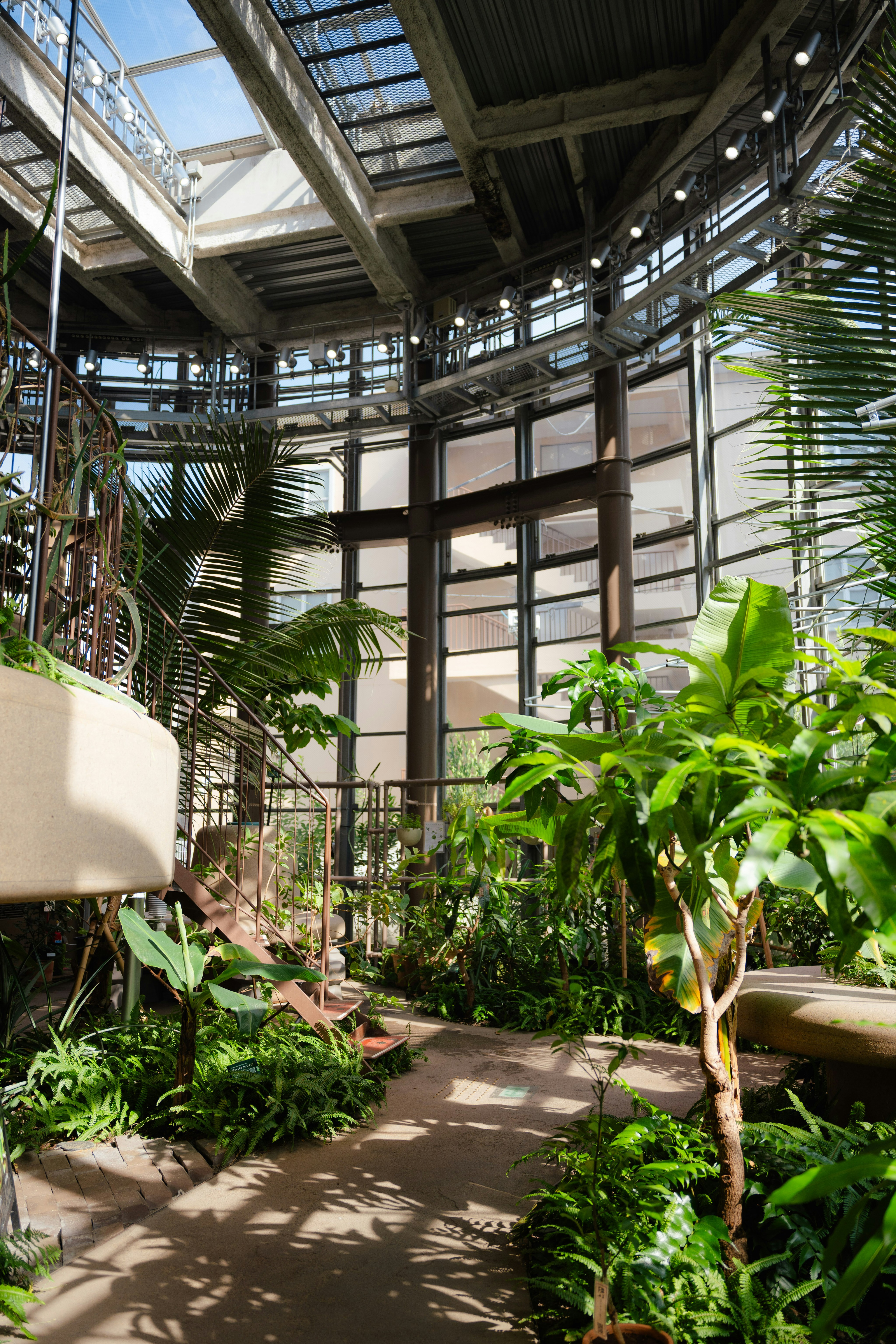 渋谷区ふれあい植物センターの温室内で緑が茂る植物と木製の骨組み