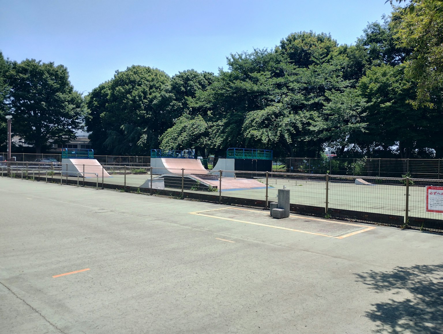 Parque de skate con rampas y vegetación