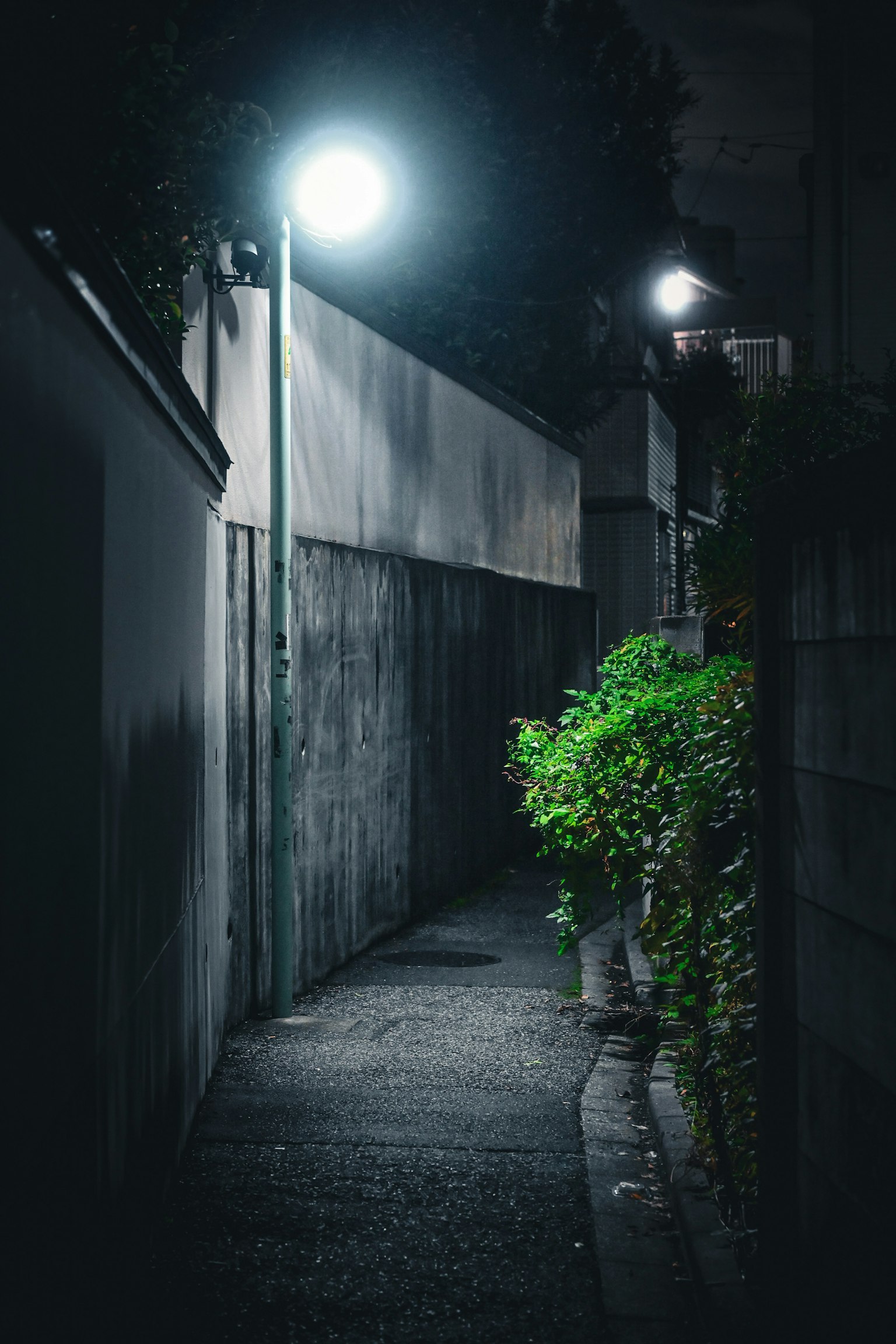 photo-yvOrUYwYnSS6QsxEAnIM-image