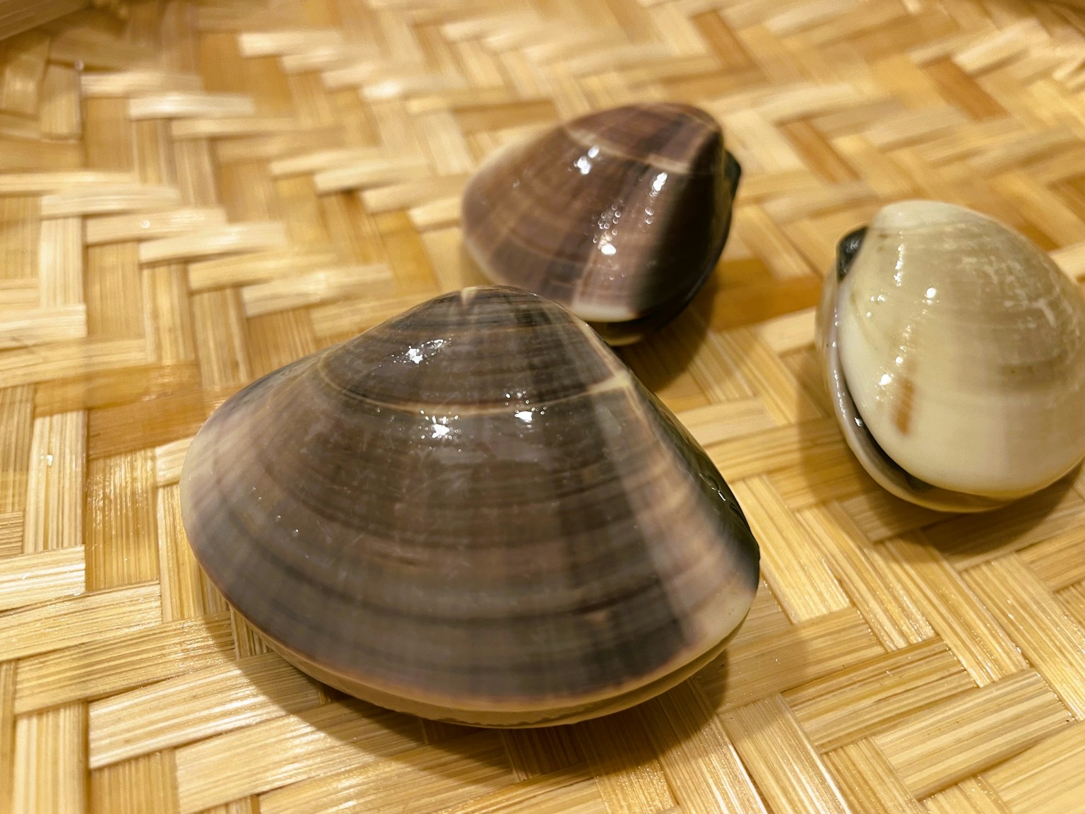 Nahaufnahme einer Gruppe von Muscheln auf einer geflochtenen Oberfläche