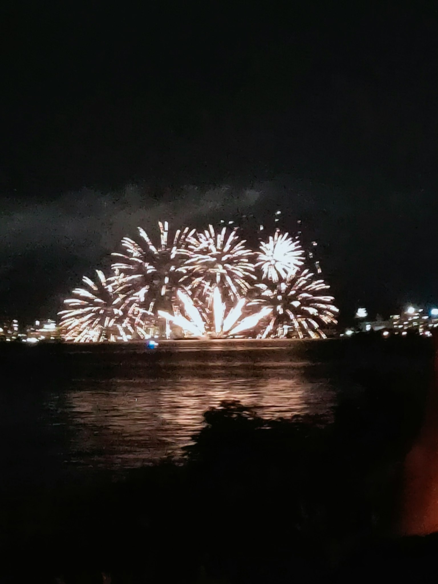 Hermosos fuegos artificiales iluminando el cielo nocturno reflejándose en el agua