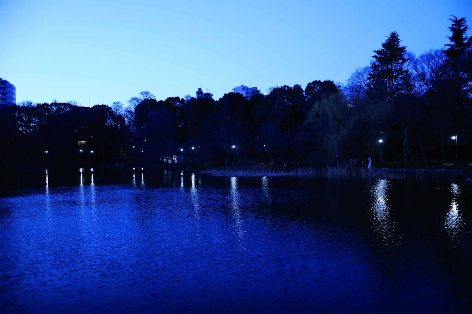 黃昏公園湖泊映照街燈光輝