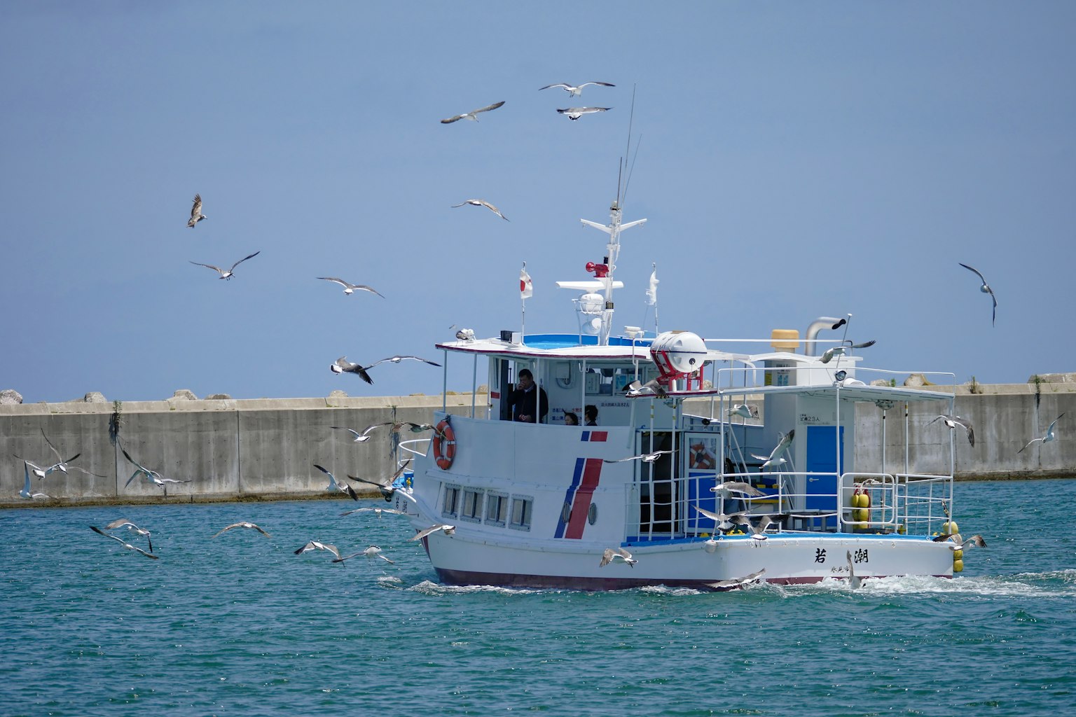 Ein weißes Boot, das durch das Meer fährt, umgeben von fliegenden Möwen