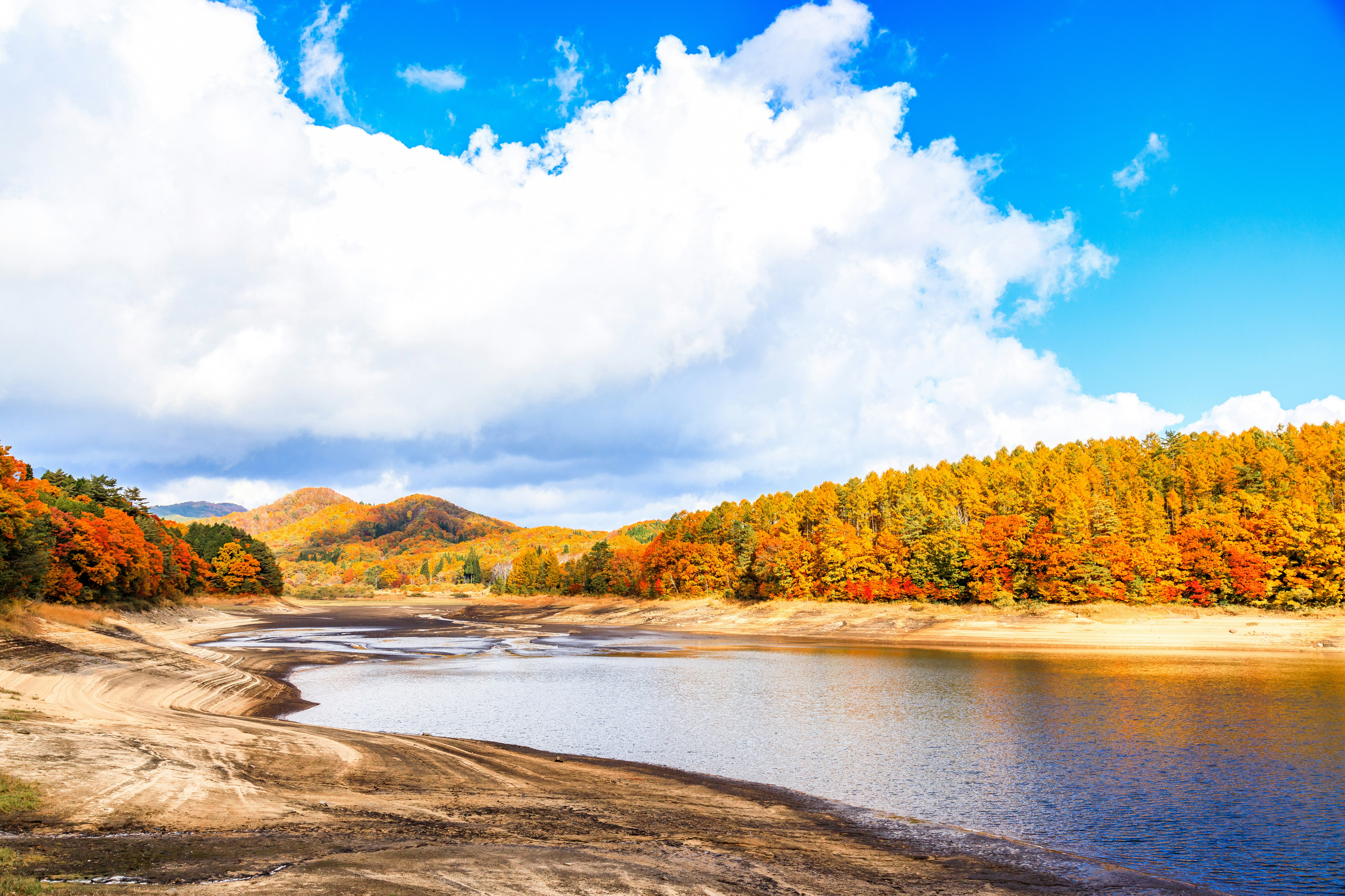 紅葉の高原と湖畔の青空風景