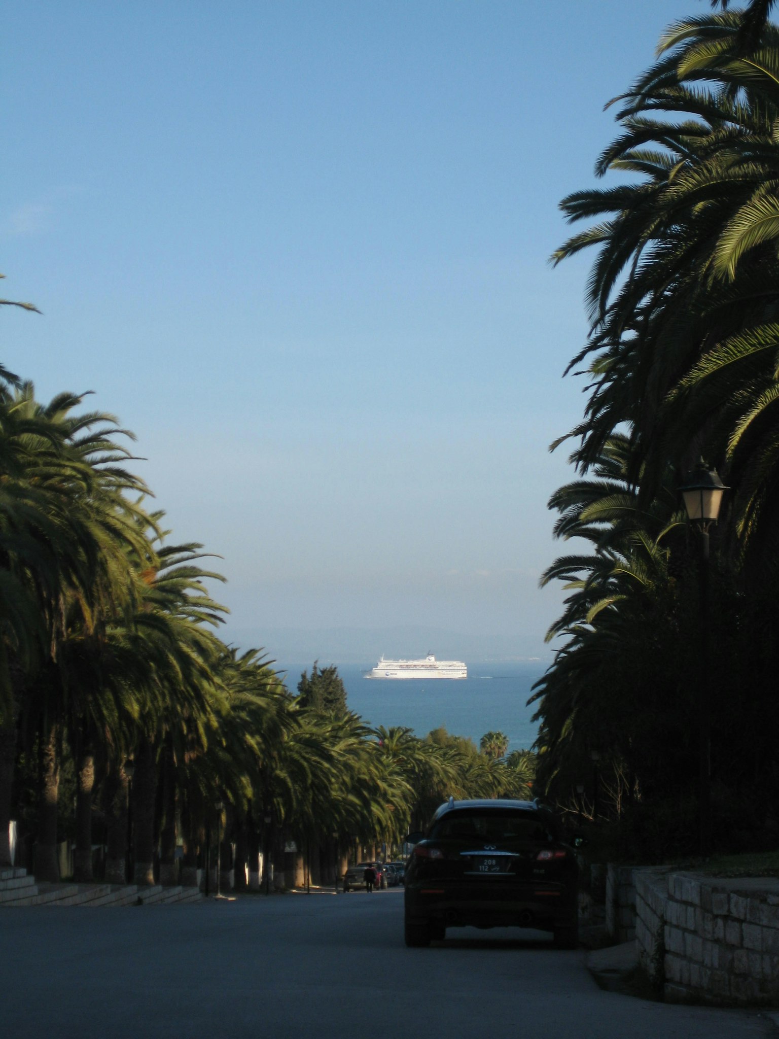 棕櫚樹沿路框住的海洋和白船的景色