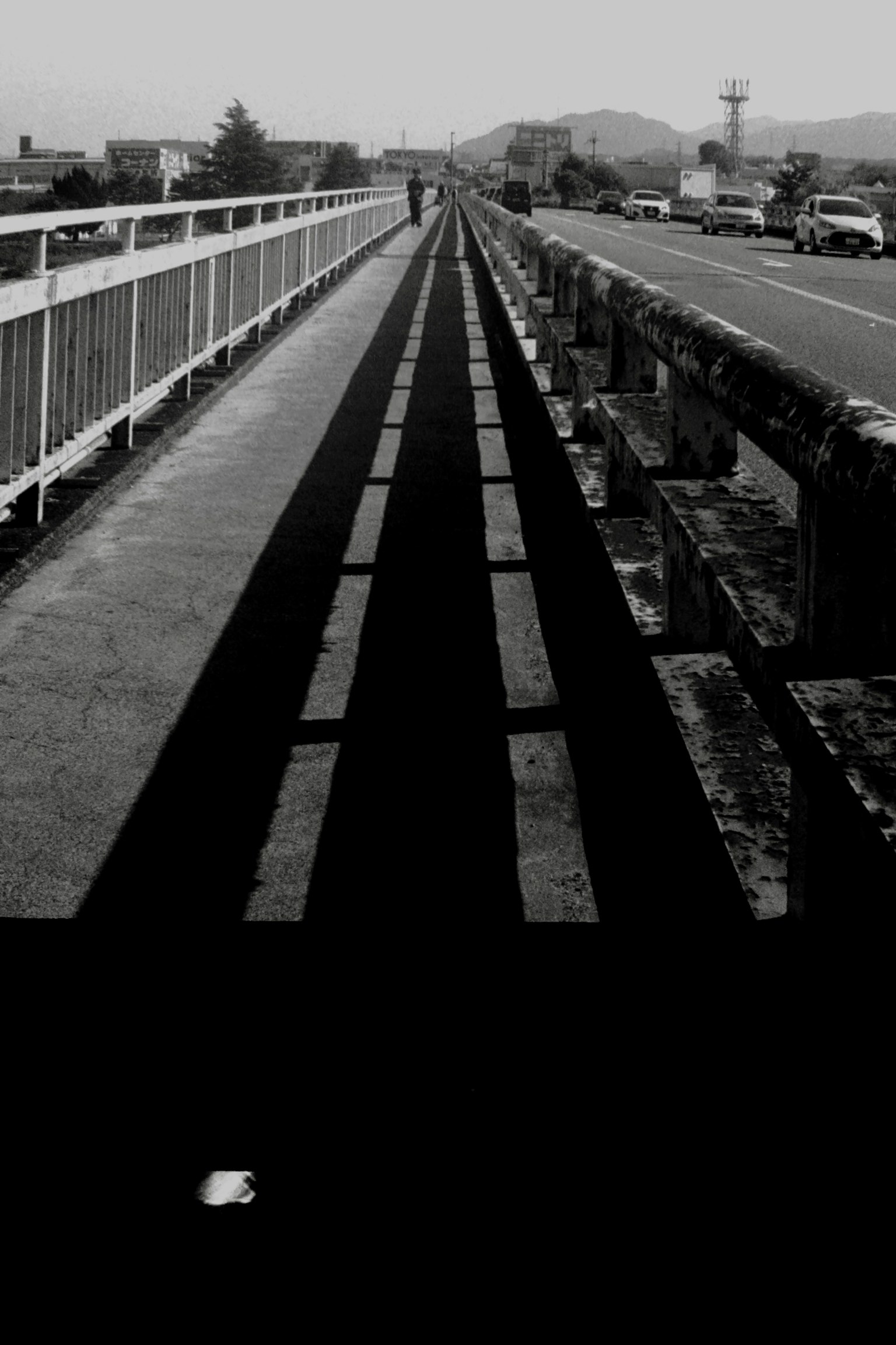 Largo camino en un puente en blanco y negro con paisajes a ambos lados