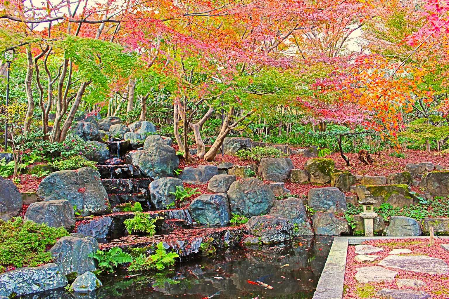 Jardin serein avec une cascade et des feuilles d'automne vibrantes
