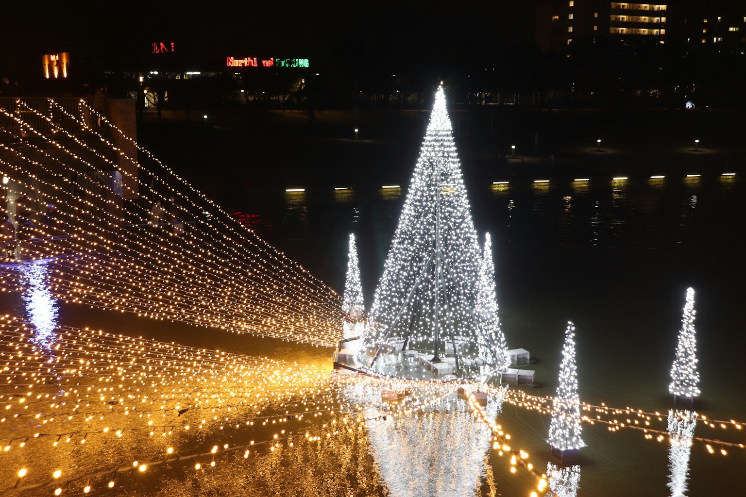Árboles de Navidad iluminados por la noche con reflejos en el agua