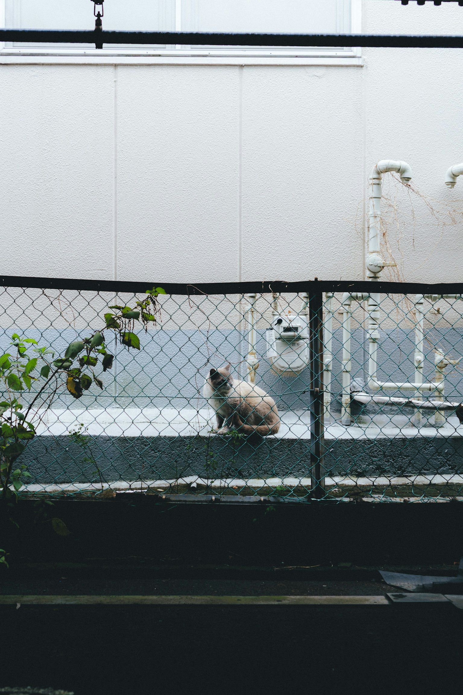 photo-yzVnrQomgmTSeBgSCbjf-image